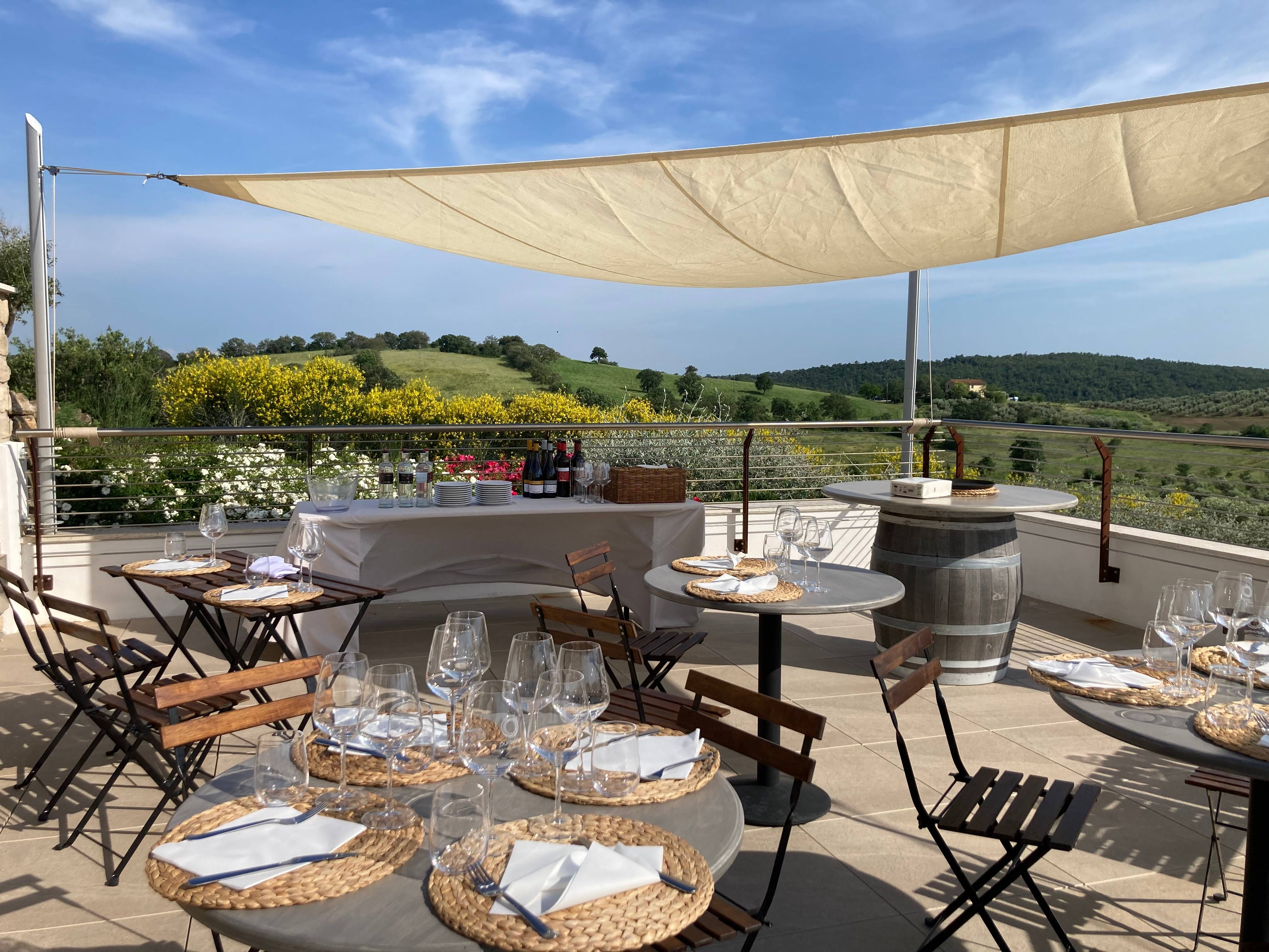 Wine Brunch at the Purovino farm