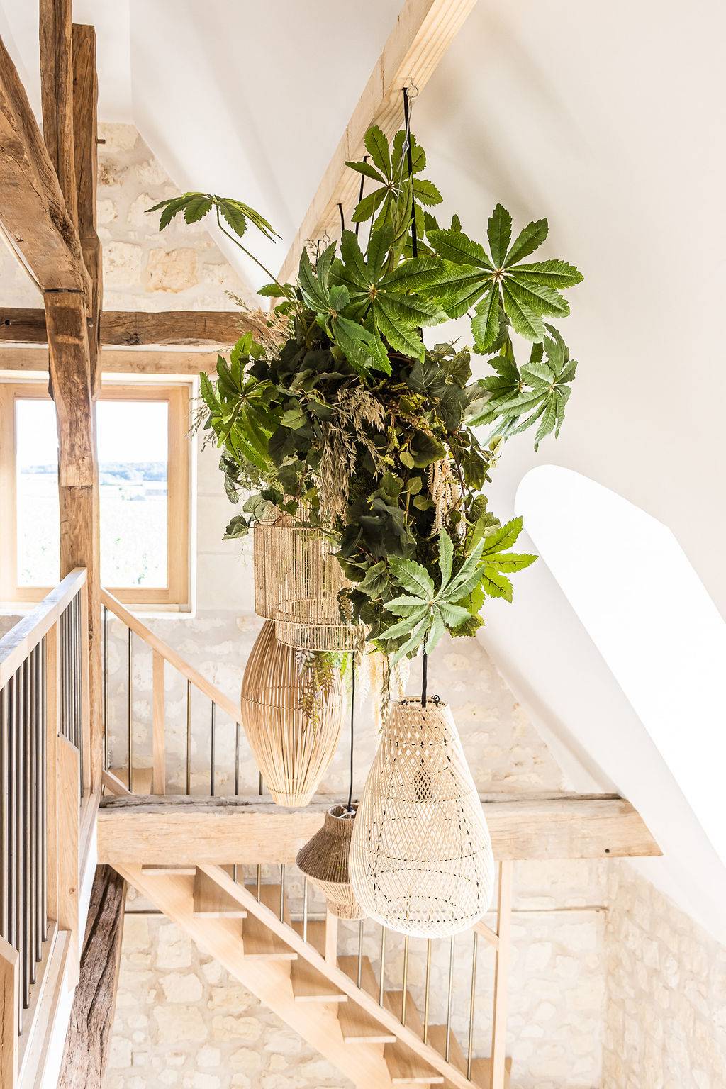 Discovery of the emblematic grape varieties of the Loire