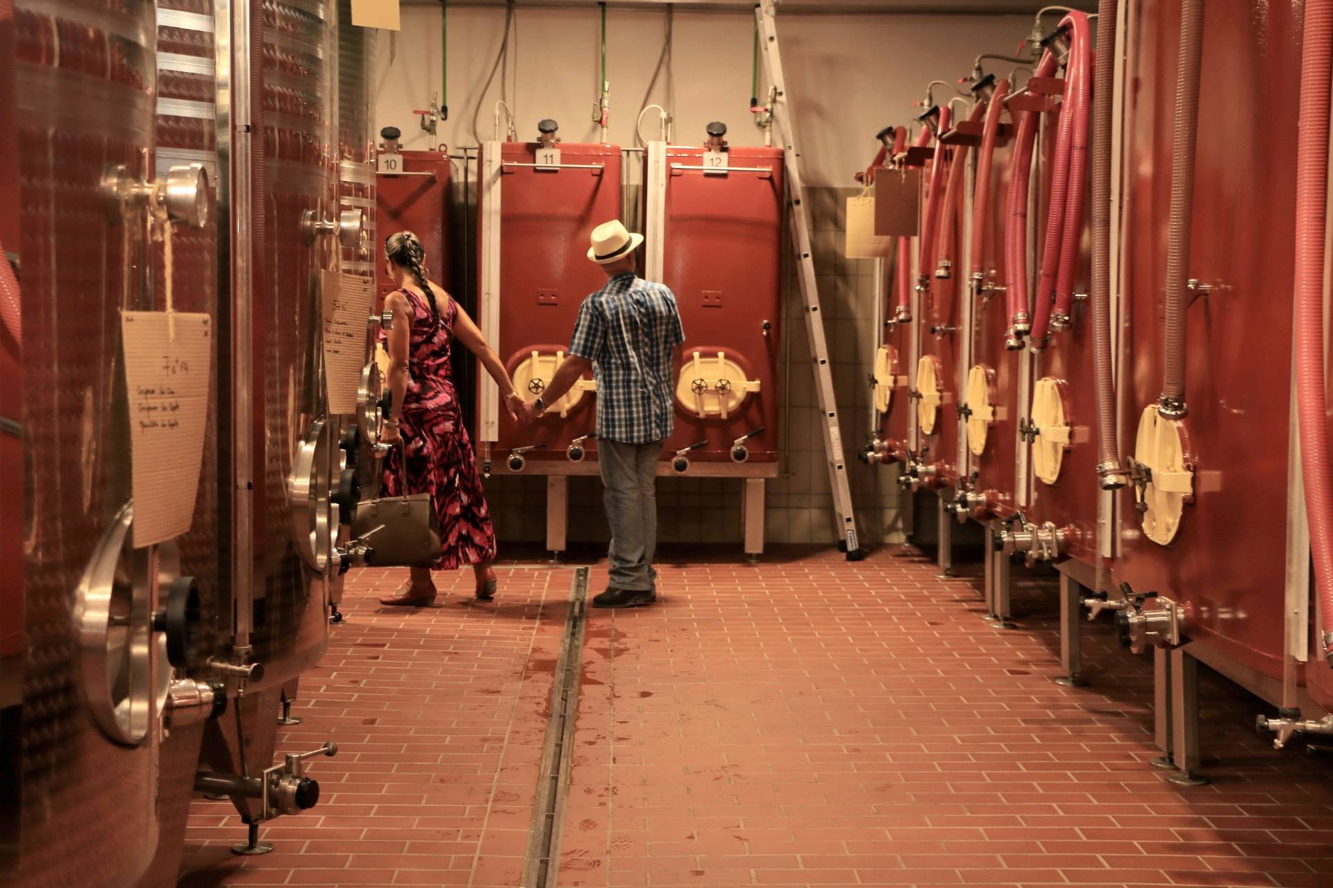 Discovery of a biodynamic wine estate (“L’expérience viticole”)