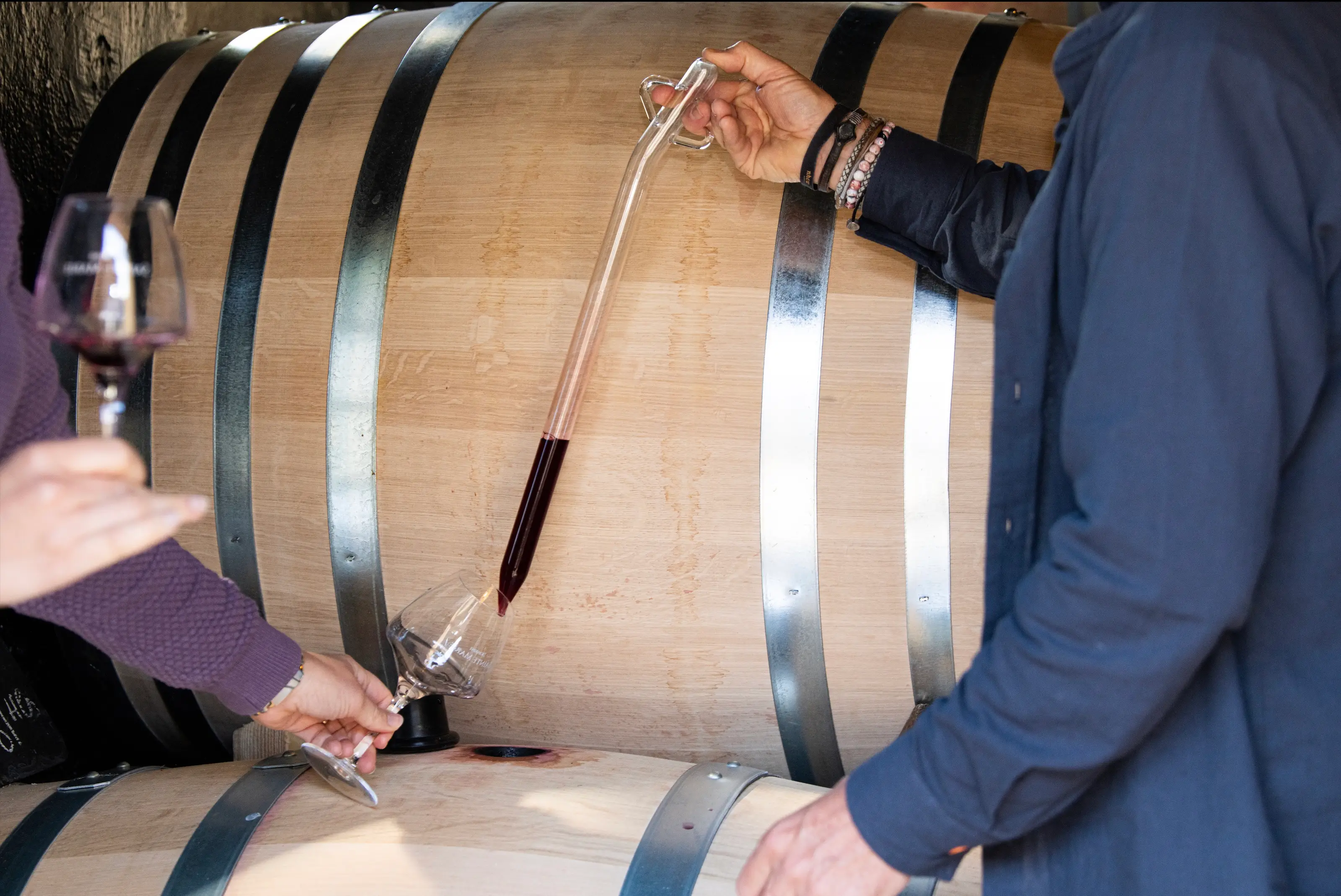 Tasting and gourmet salad