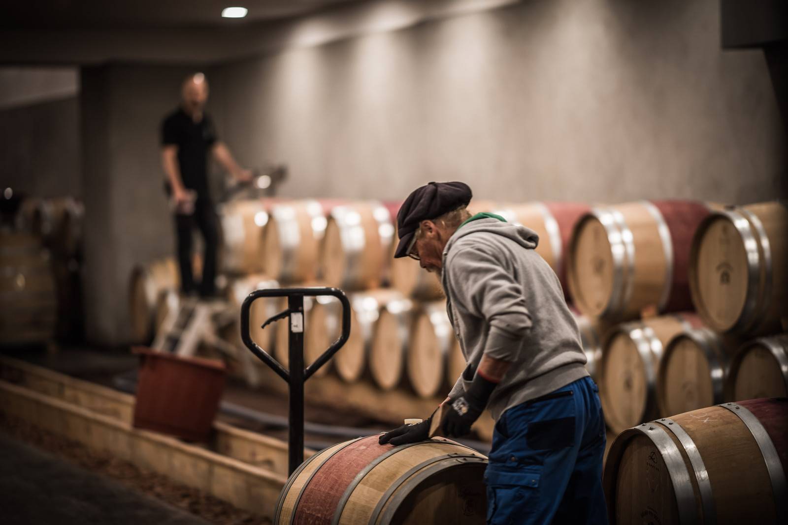 Discovering Grand-Puy Ducasse