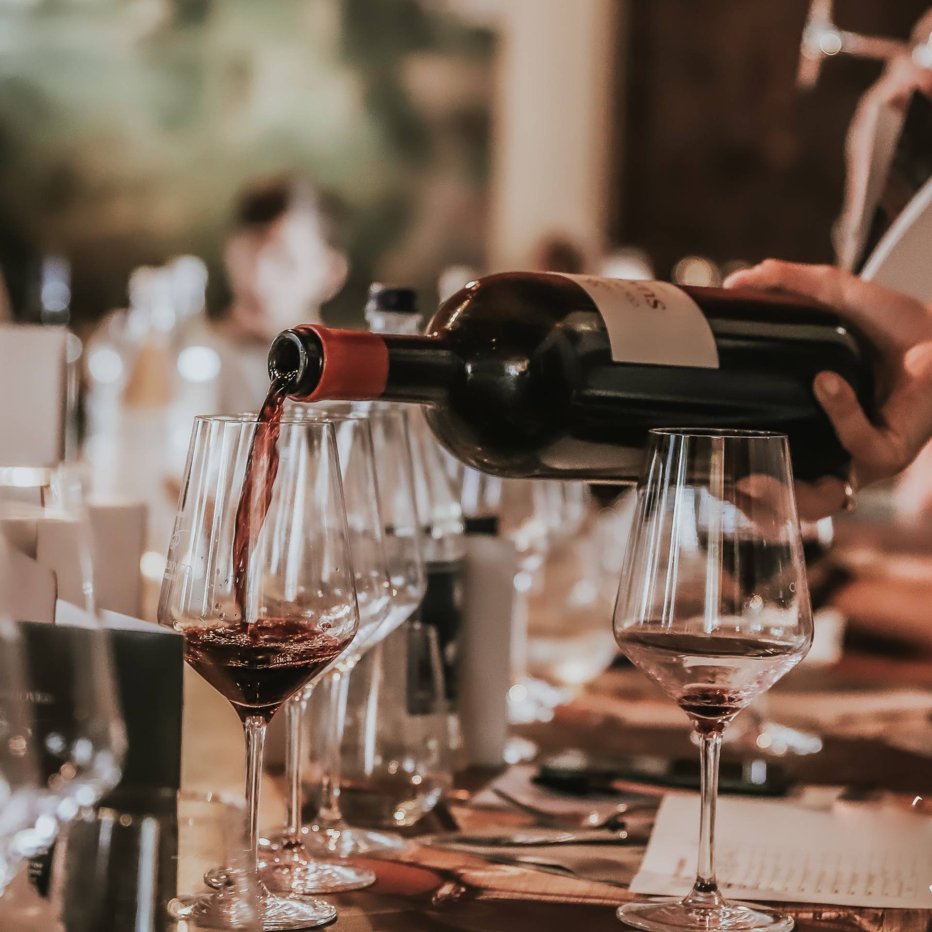 Guided tour and tasting of 3 wines