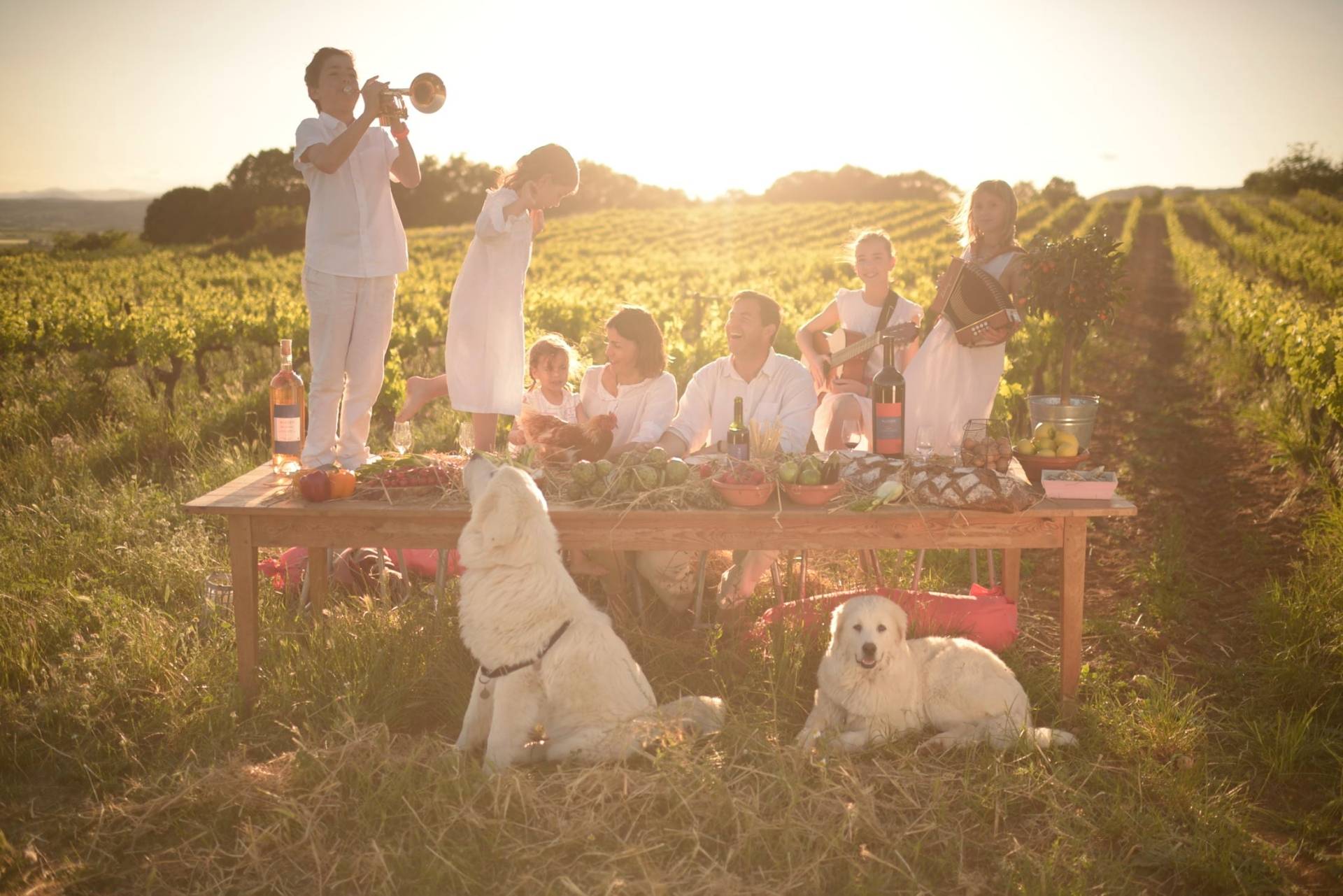 Allegria’s Joyous Winegrower’s Table