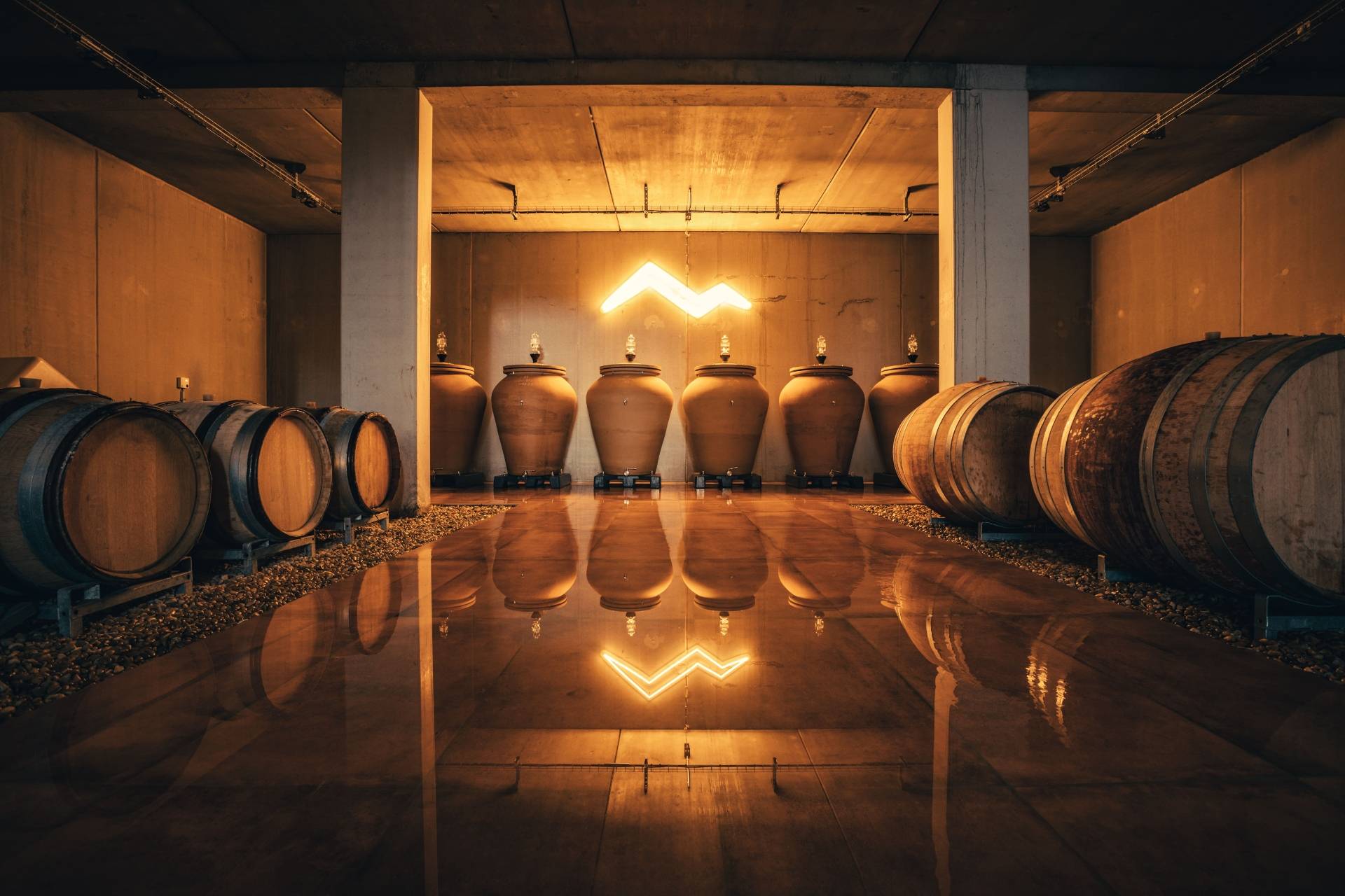 Visit to the cellar and tasting