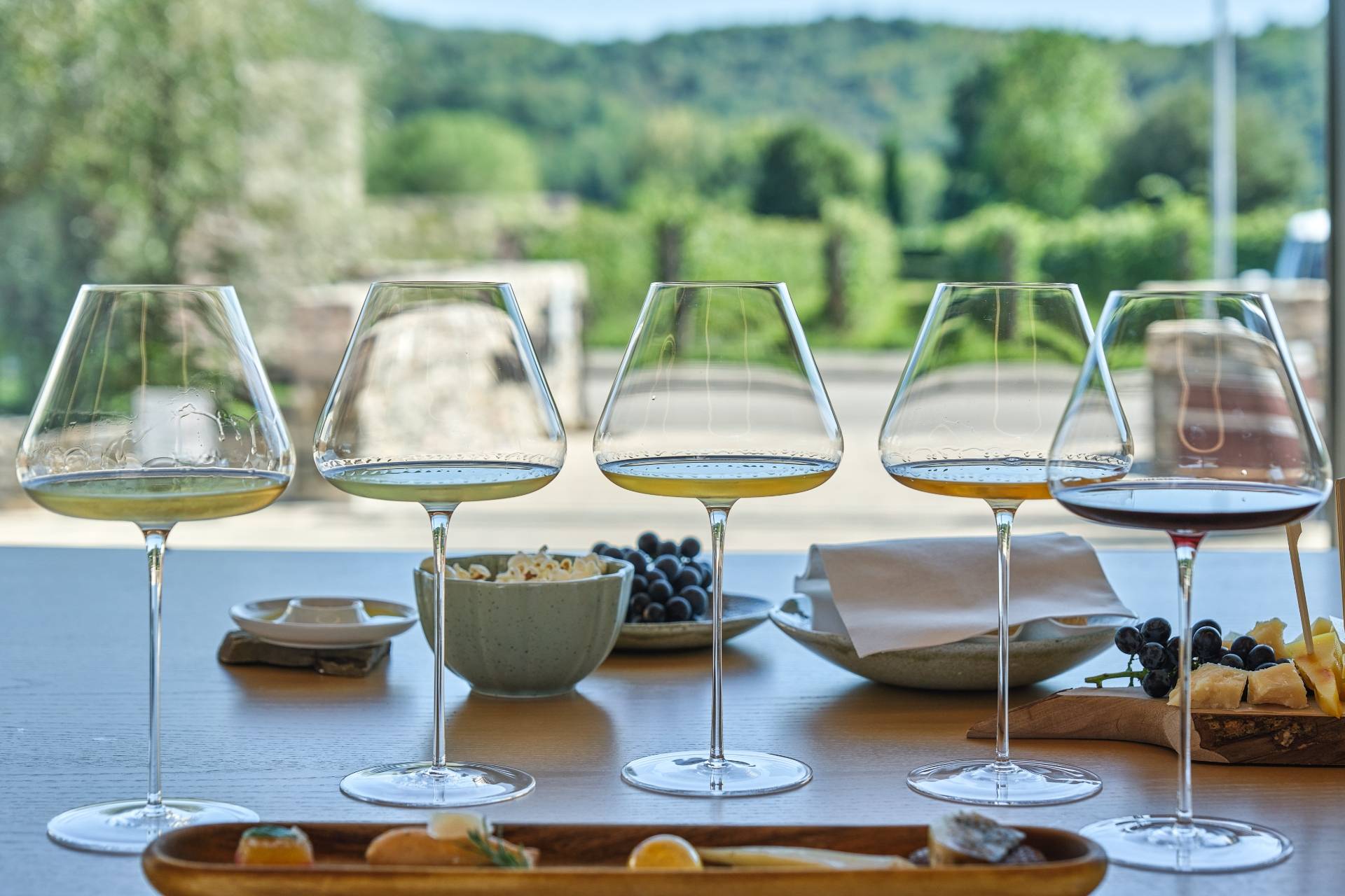 Wine Tasting Experience