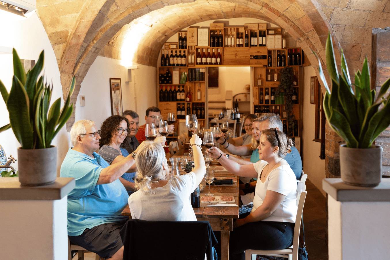 Organic Chianti Classico Tour and Tasting