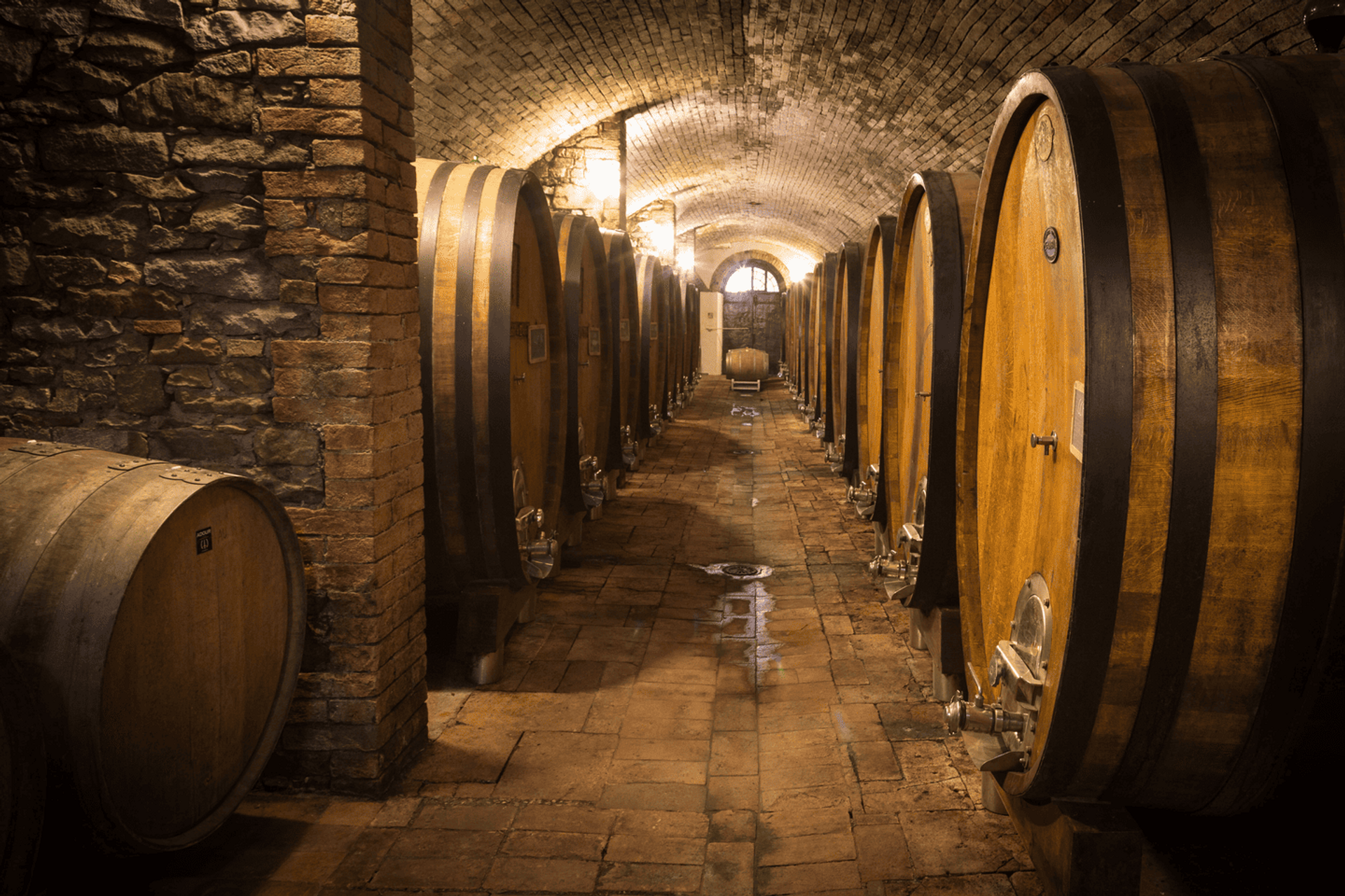 Organic Chianti Classico Tour and Tasting