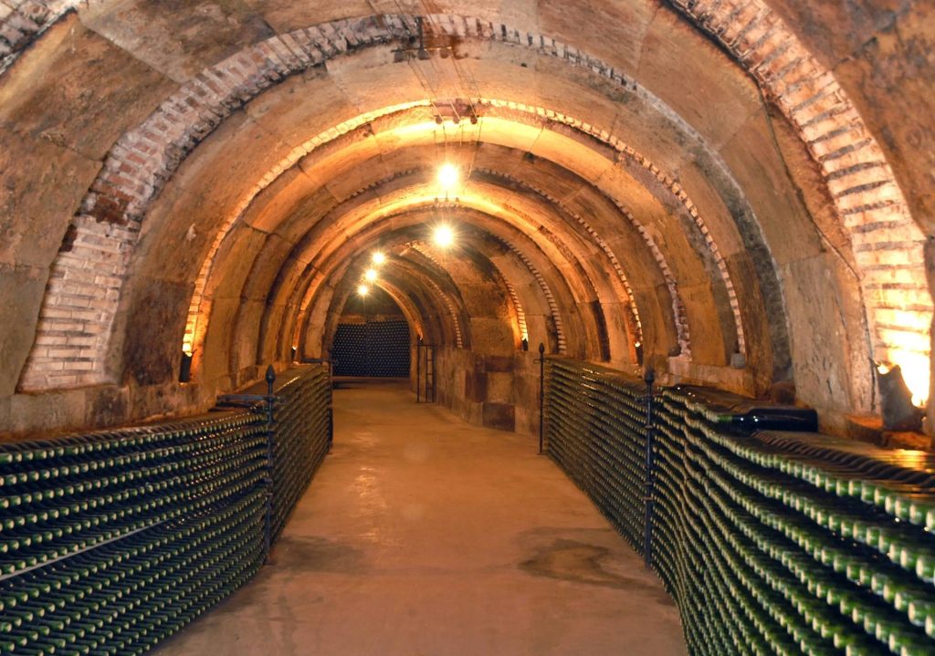 Private visit of the winery