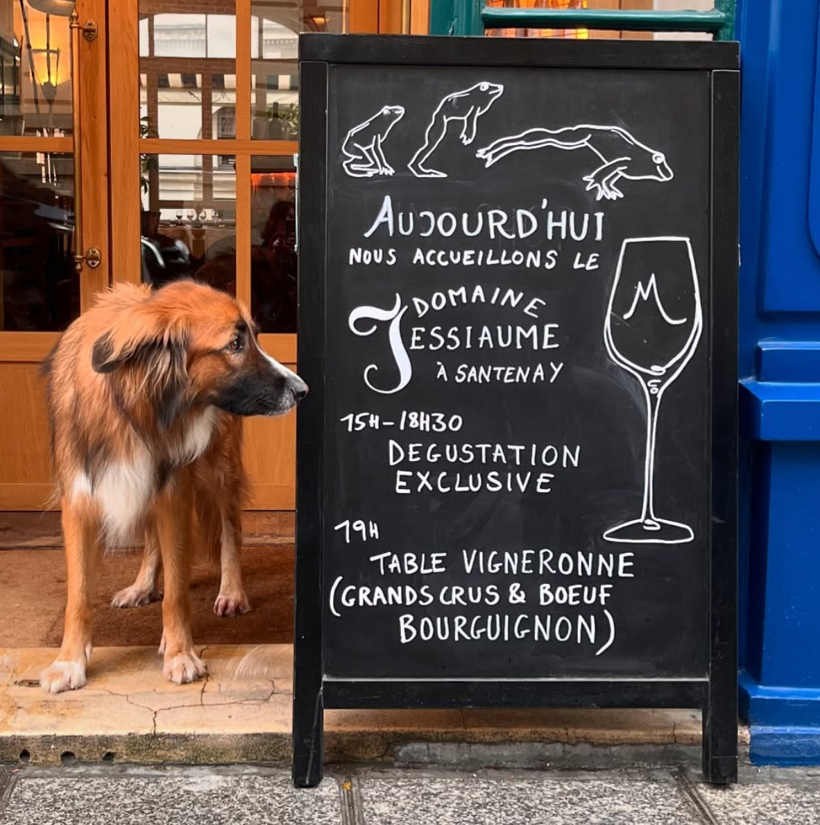 La vie en blanc: Burgundy & its appellations