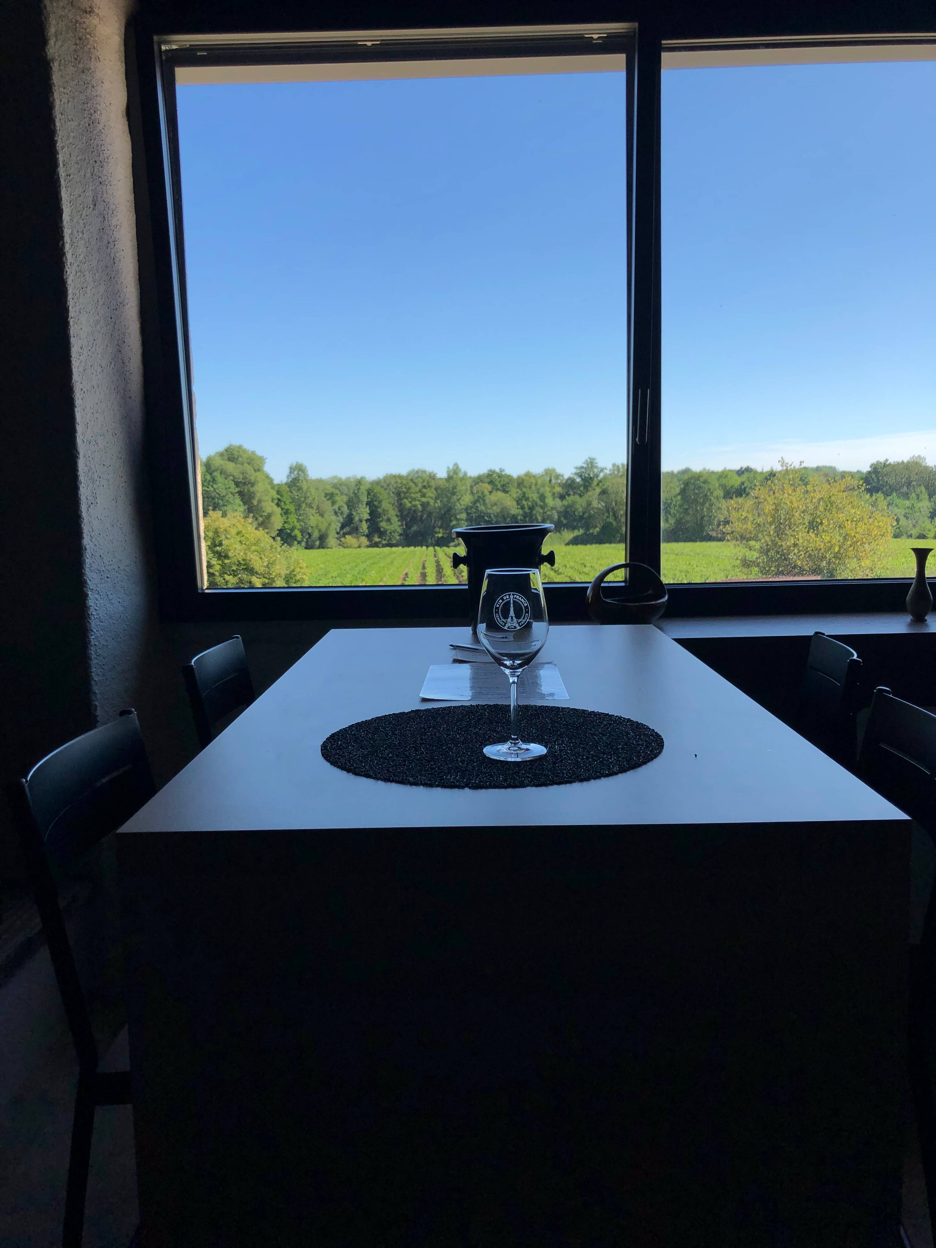 Visit to the vineyards and cellars with tasting of 6 wines