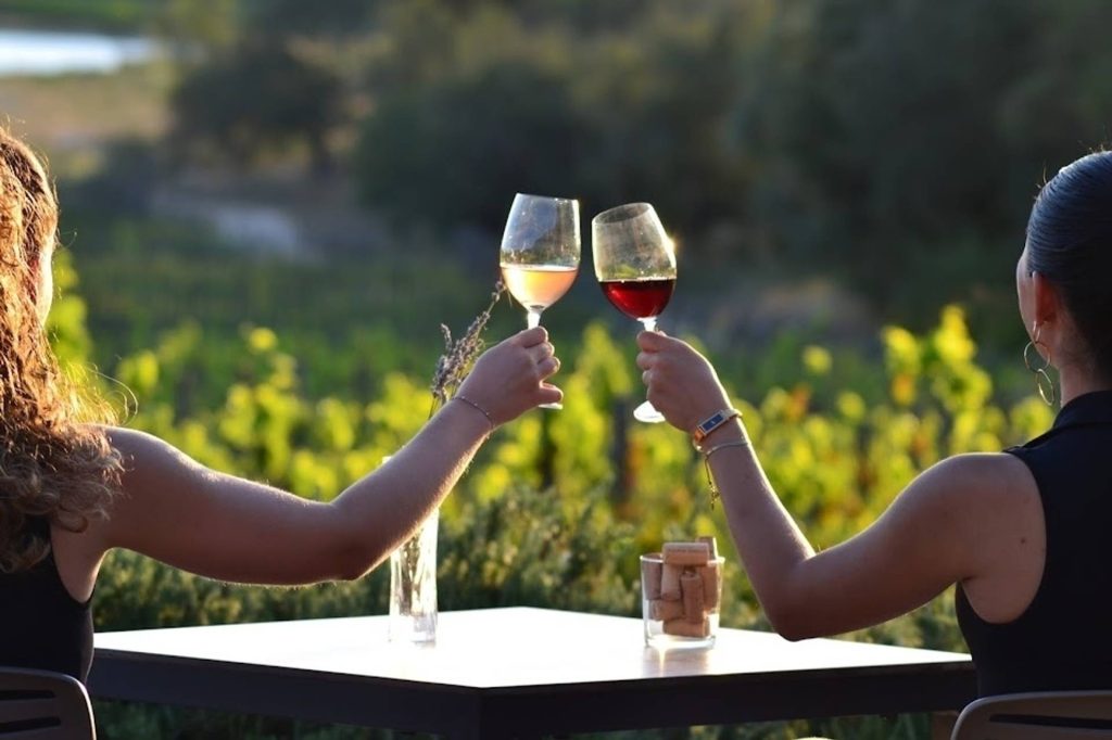 Wine tasting at Celler Mas Geli