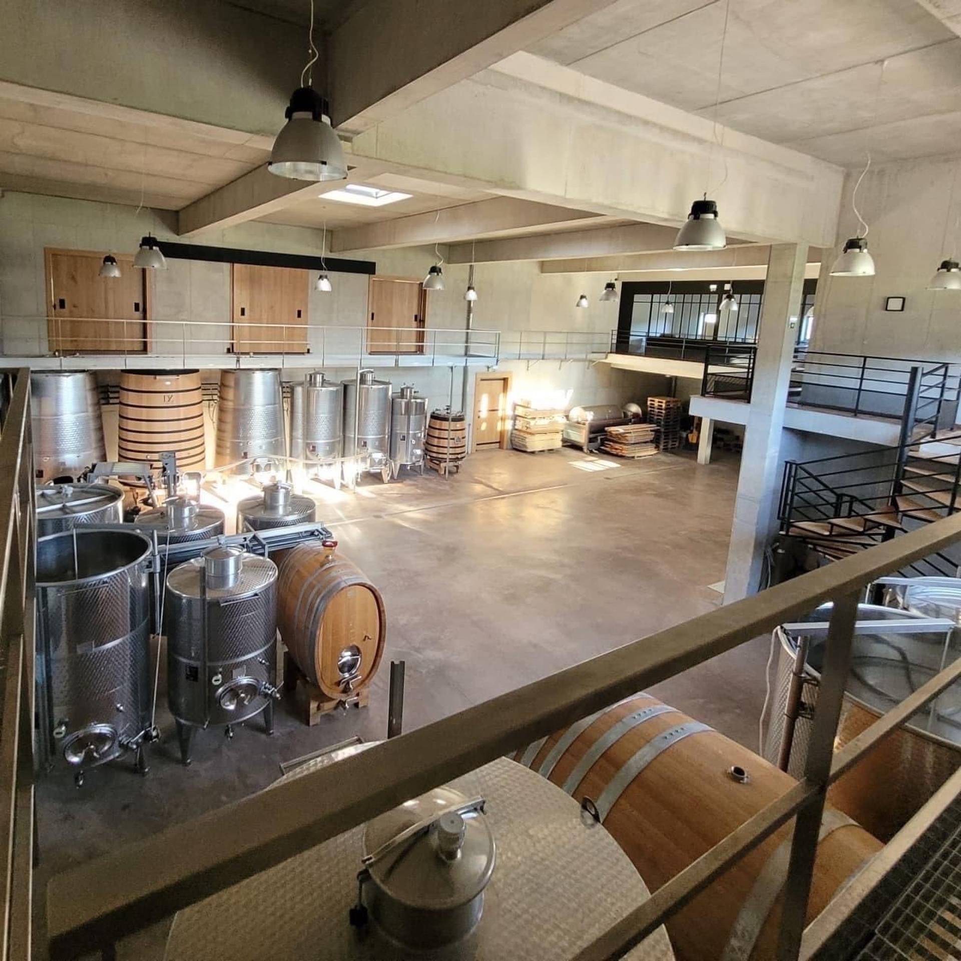 Visit of the cellar and Tasting