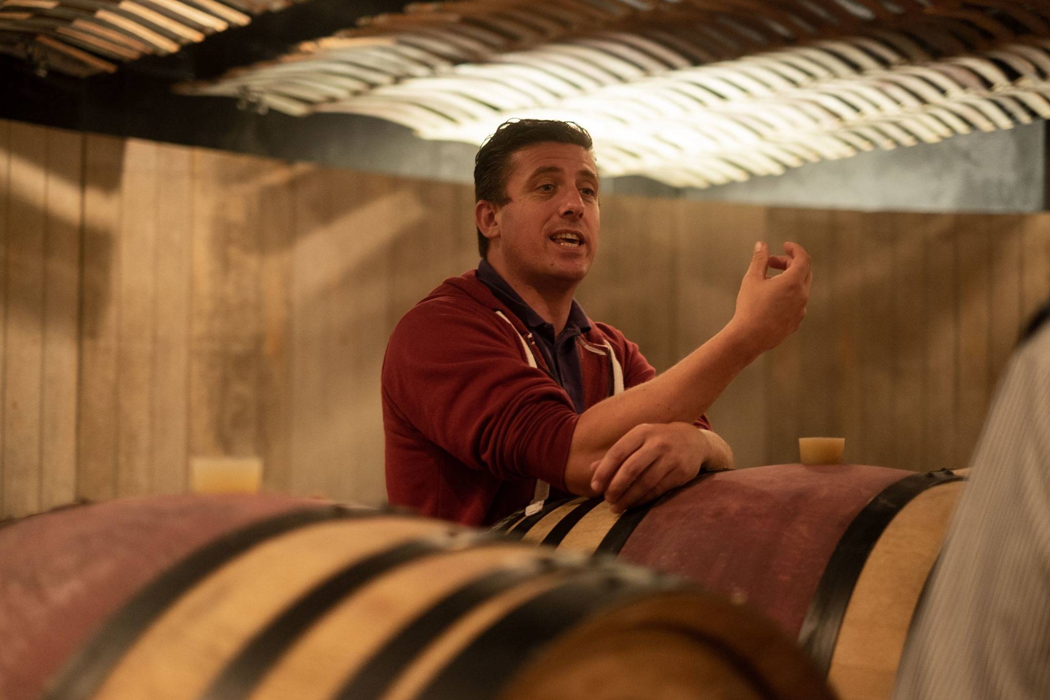 Visit of the cellar and tasting of the Domaine’s organic wines