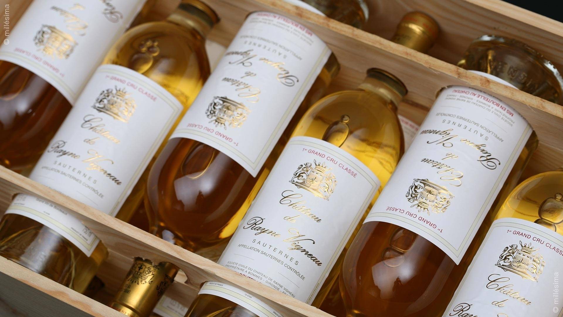 The Great Vintages Experience