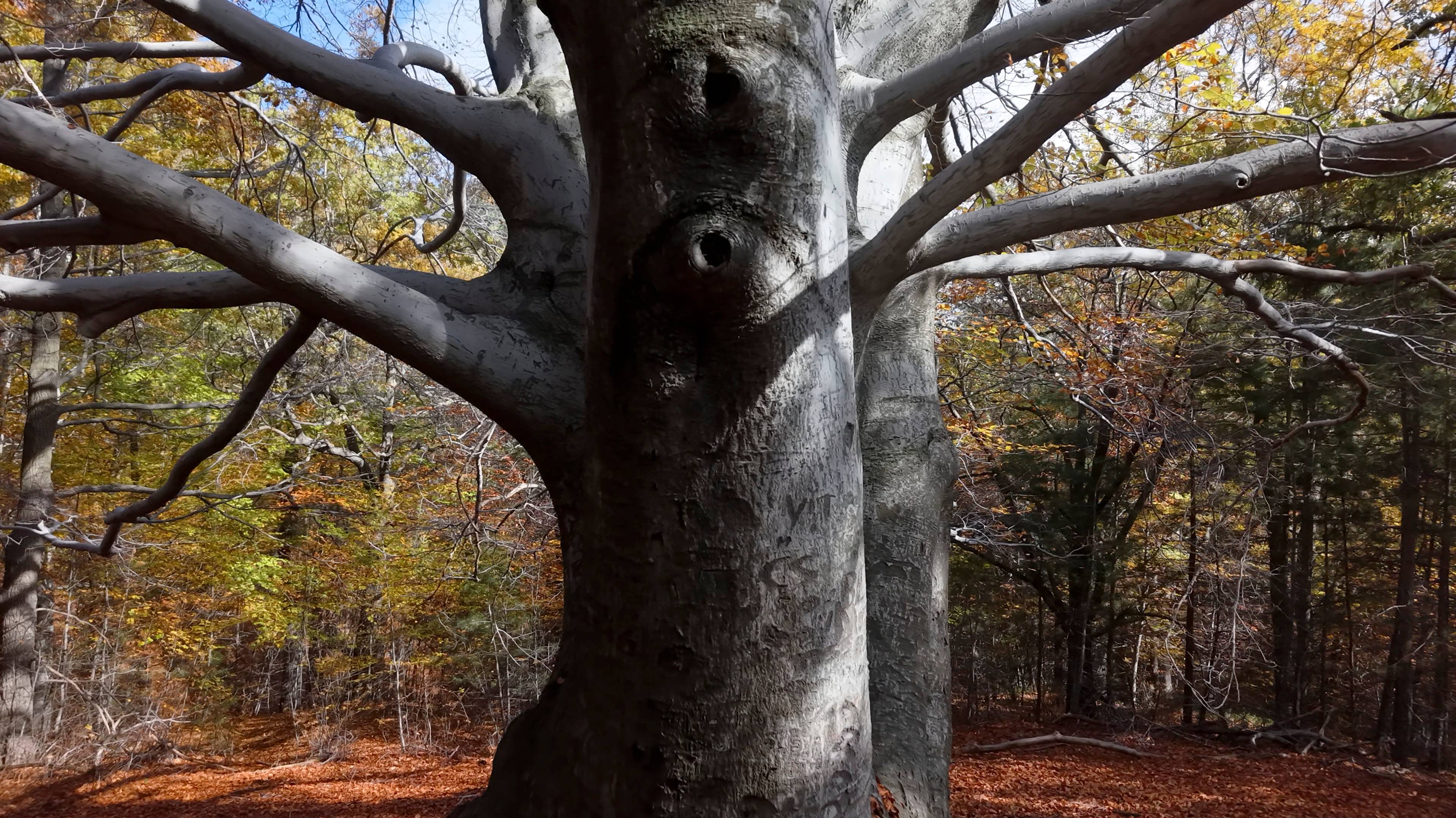 BioParco Discovery Tour on Mount Etna with tasting