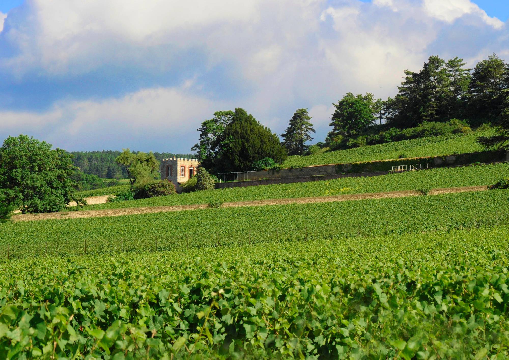 “Prestige” Tour & Tasting