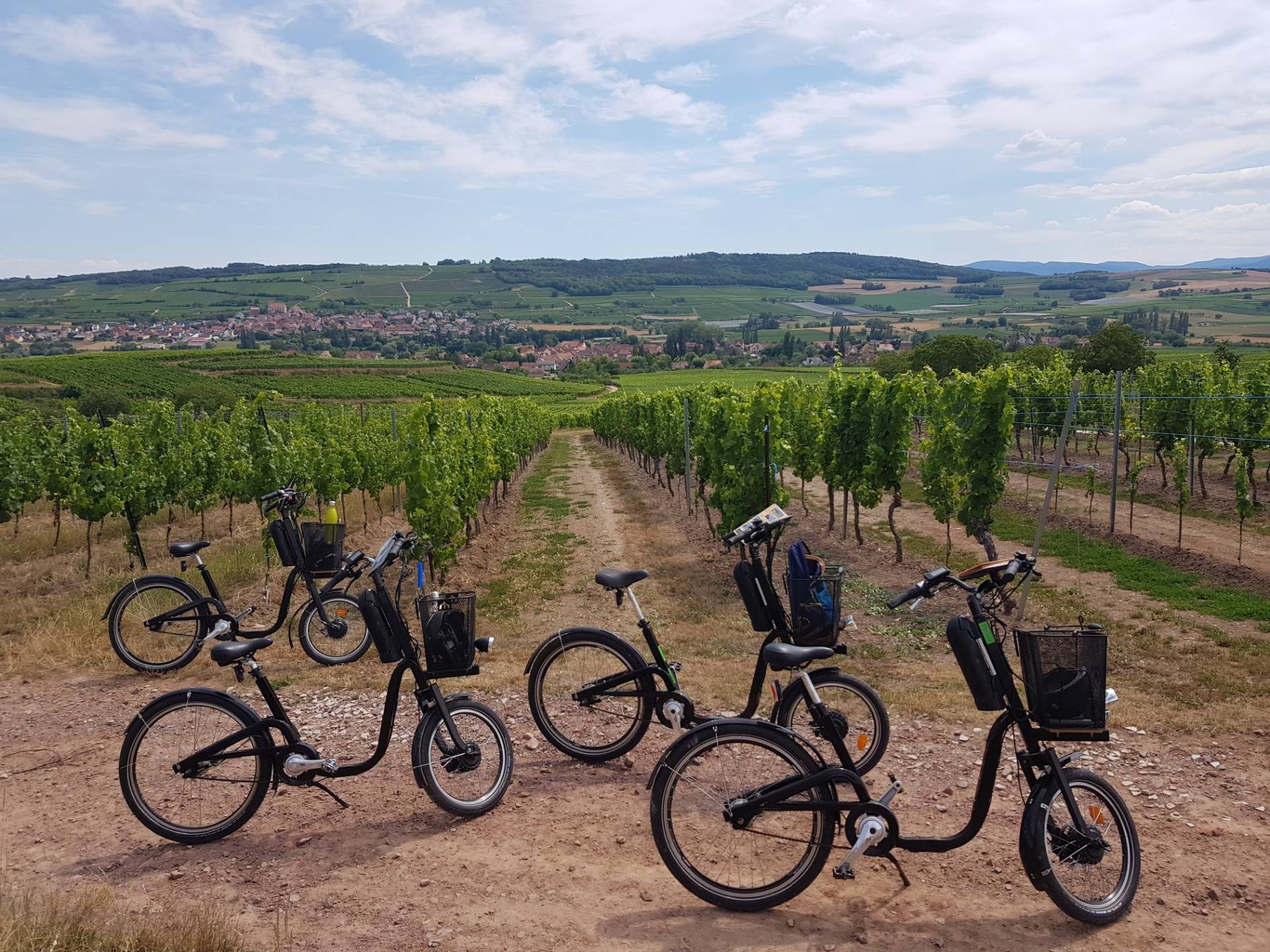 Electric bike ride and picnic in the Alsatian vineyard