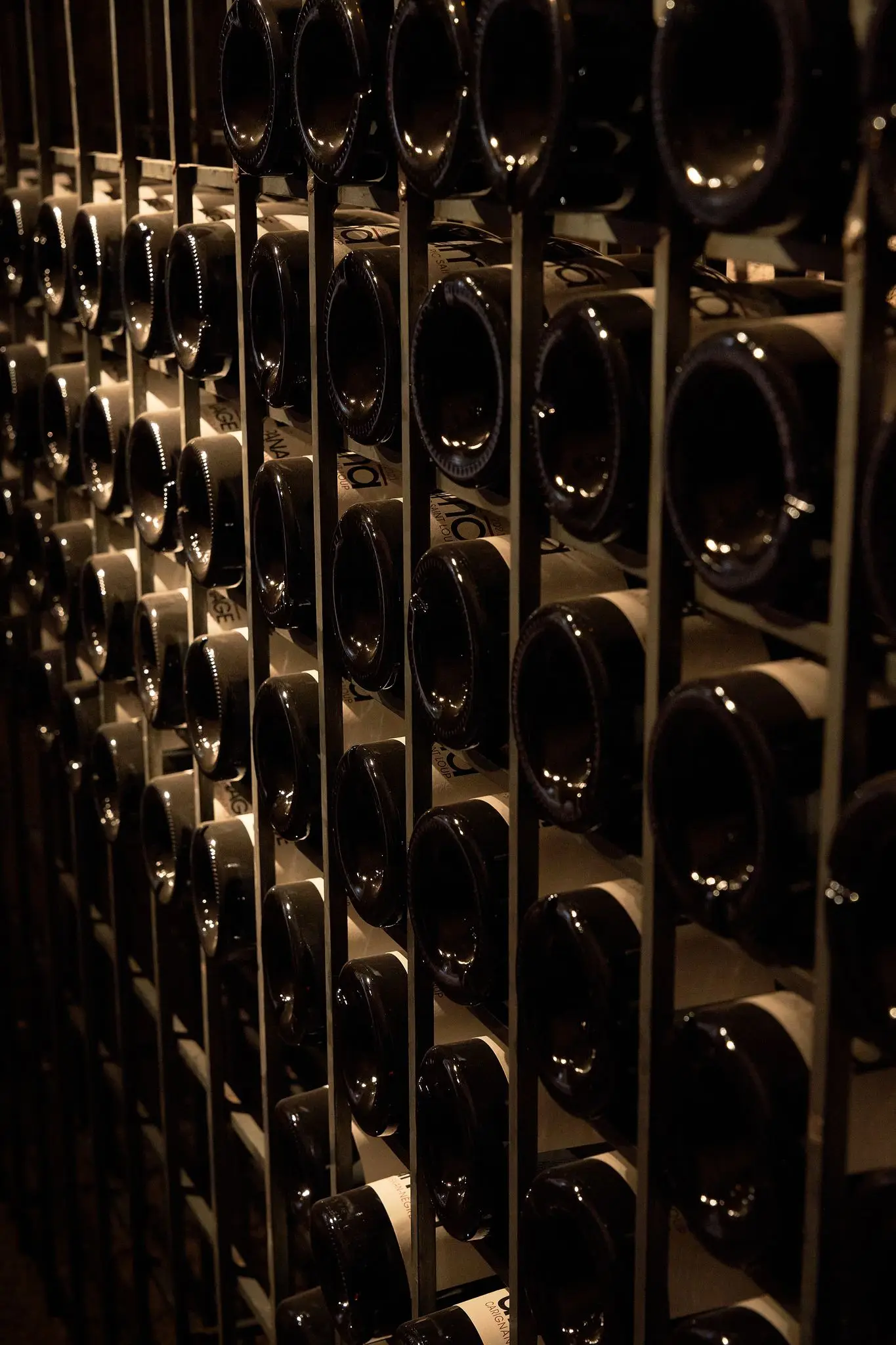 Visit to the Architectural Winery of Pic St Loup