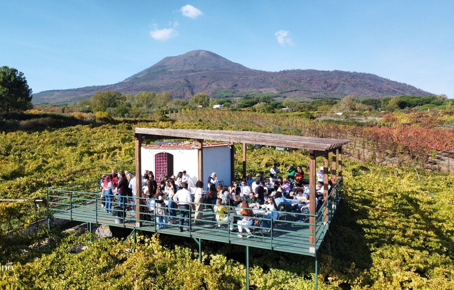 Classic Wine Tasting