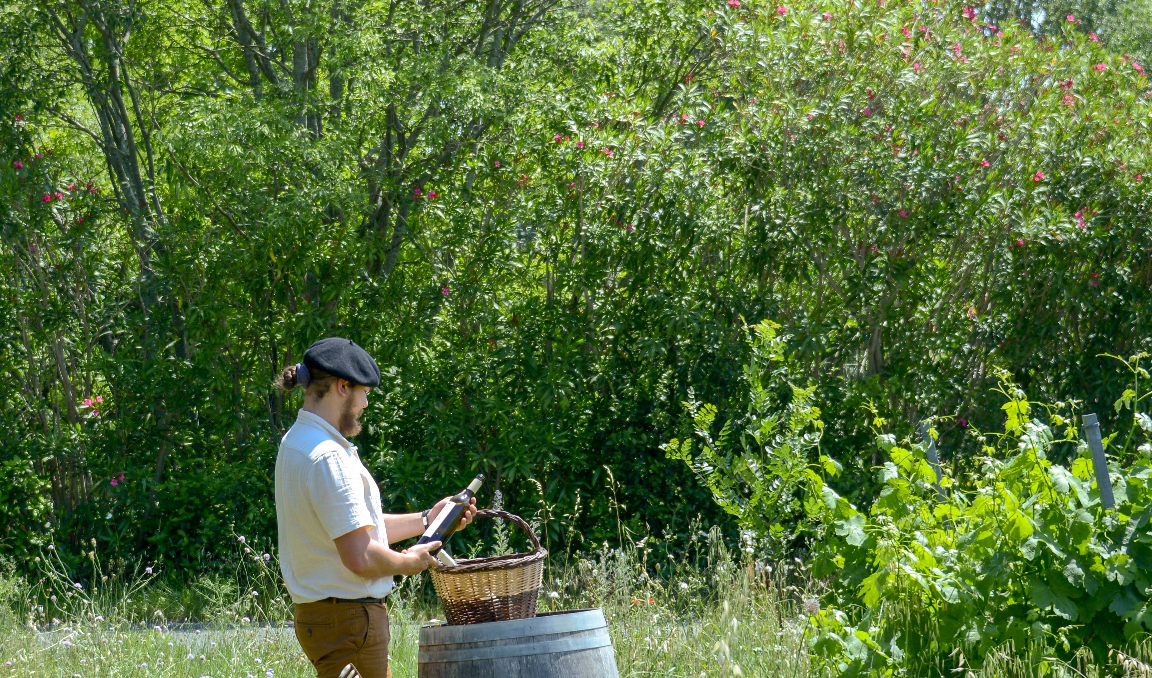 Winegrower’s picnic