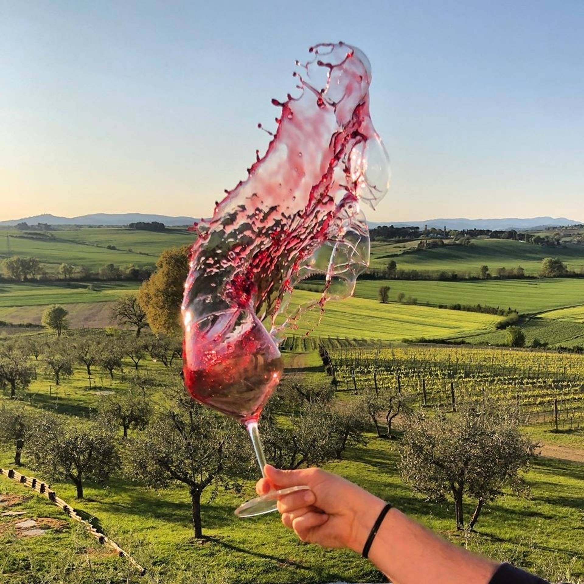 Tasting with panoramic view