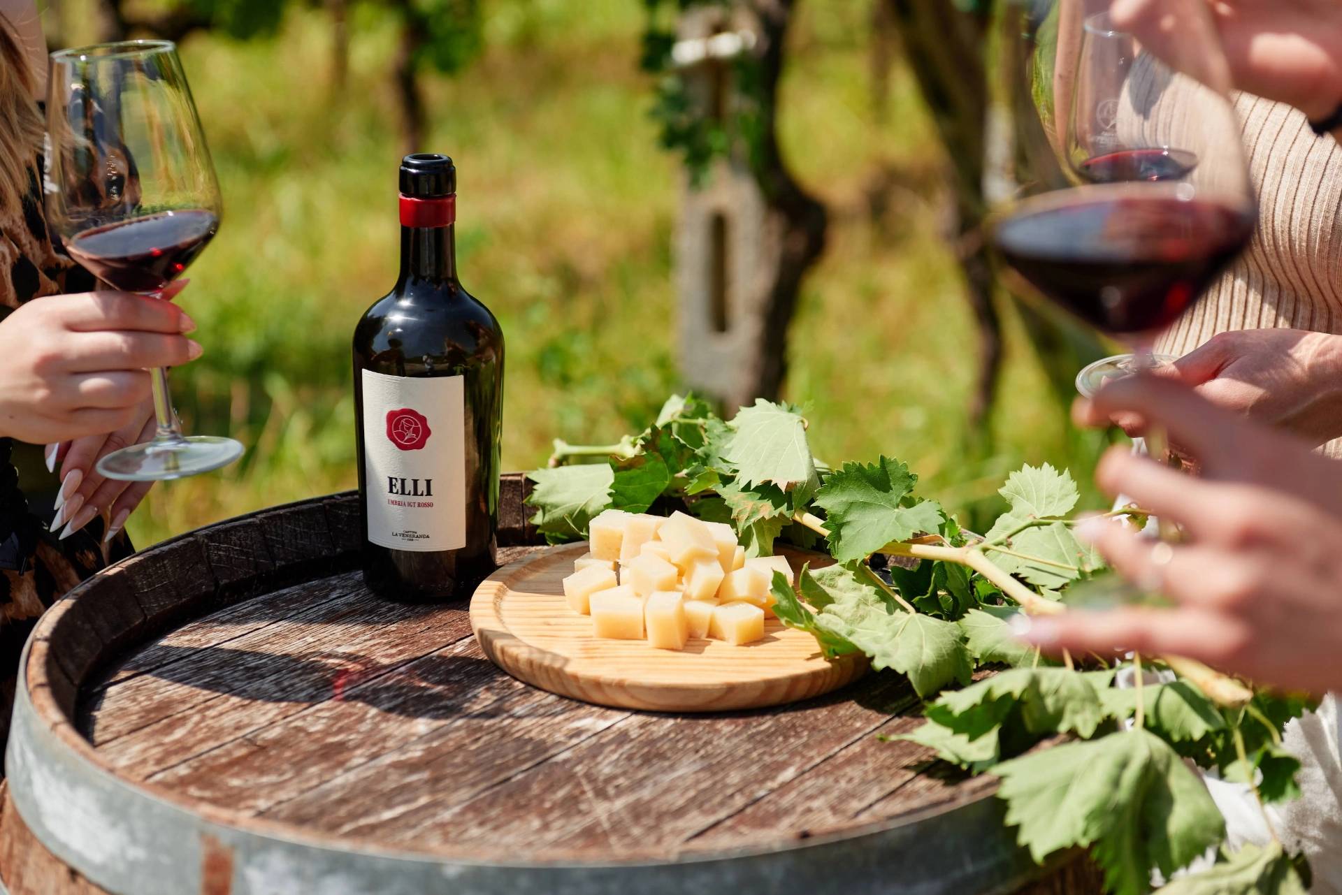 San Francesco Tasting