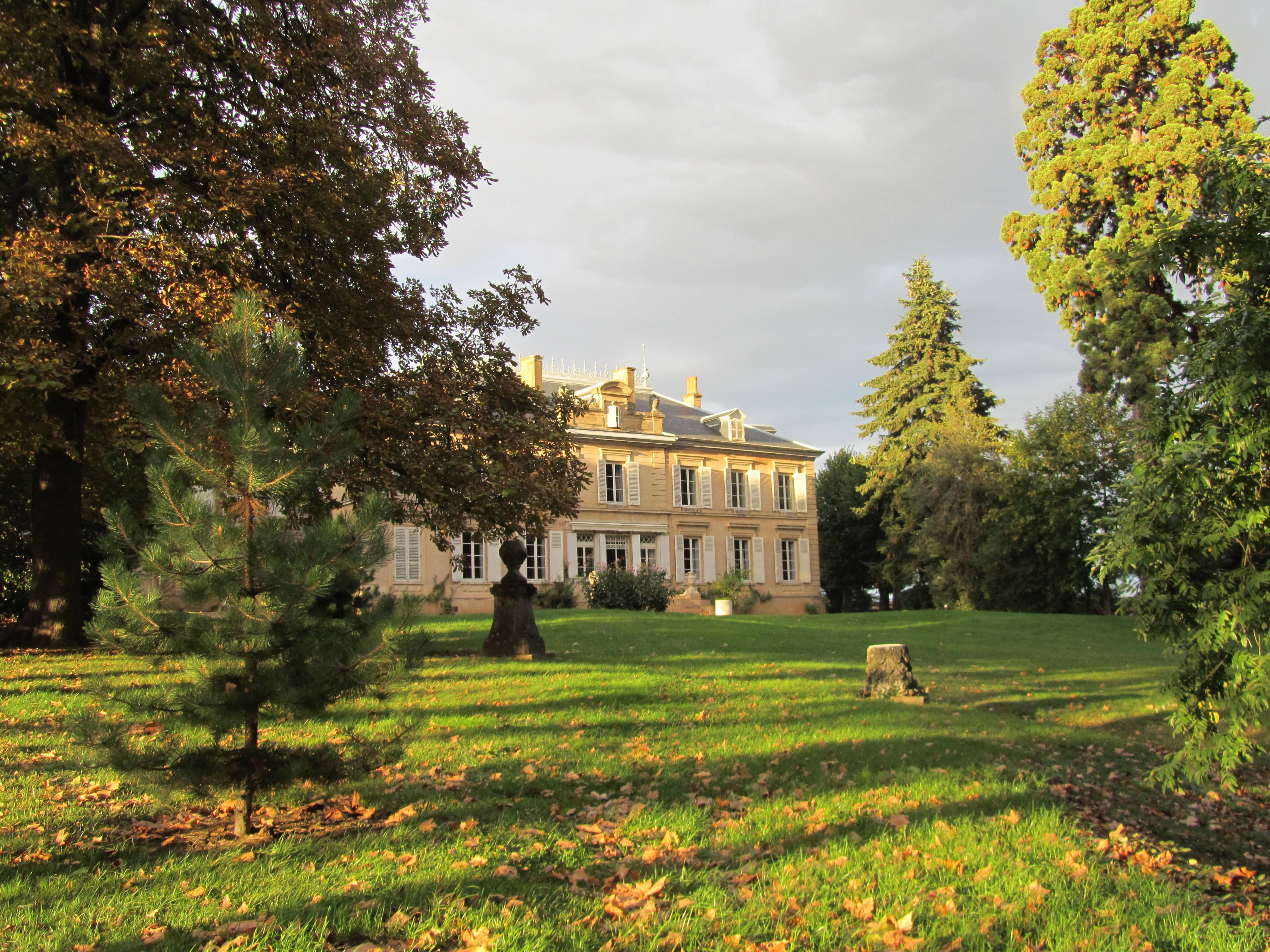 Visit, tasting and picnic at the Château