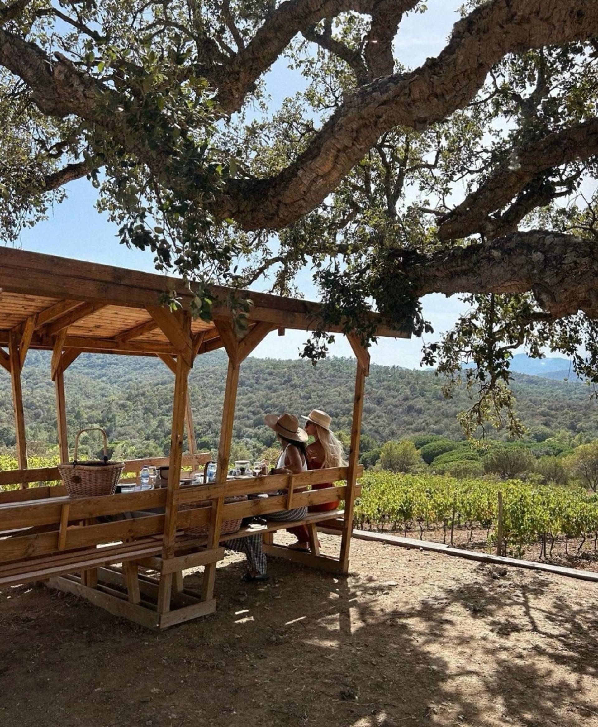 Picnic: Country Delights