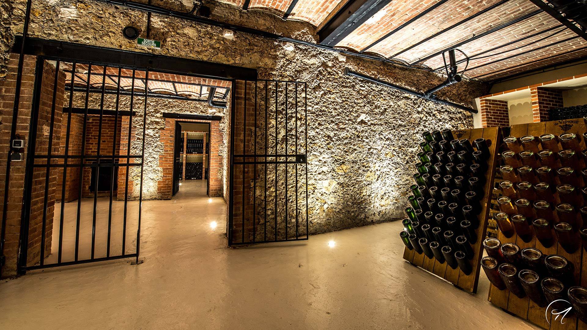 Visit and Tasting of 2 Vintage Champagnes