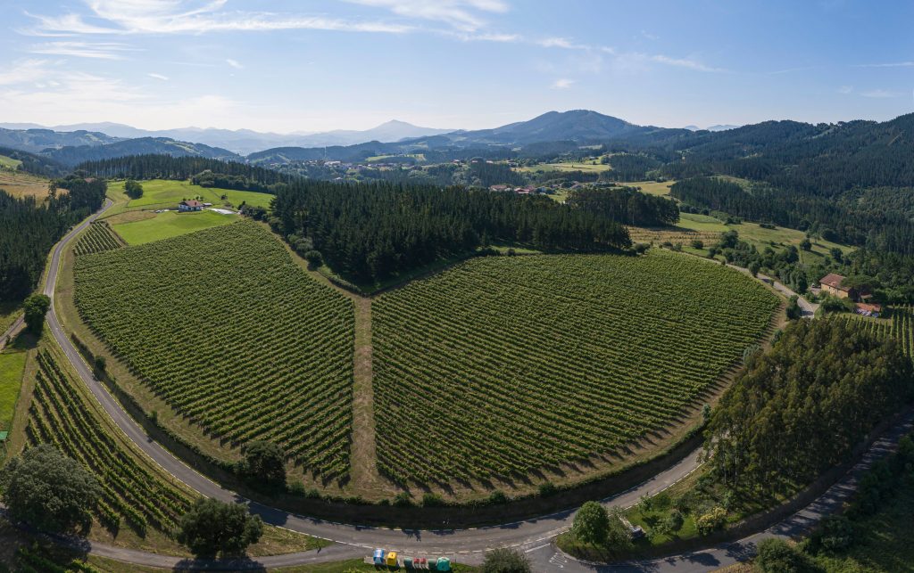 Tasting “Den-dena”