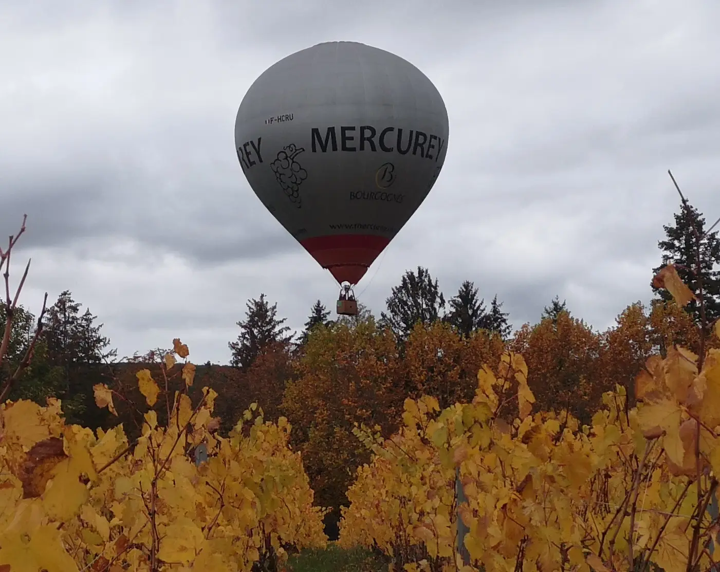 Hot air balloon flight in Burgundy with a winemaker