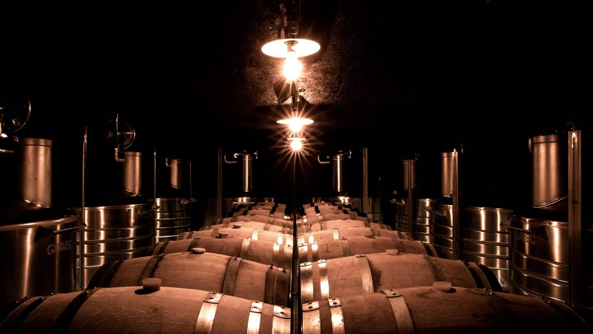 Cellar visit and tasting