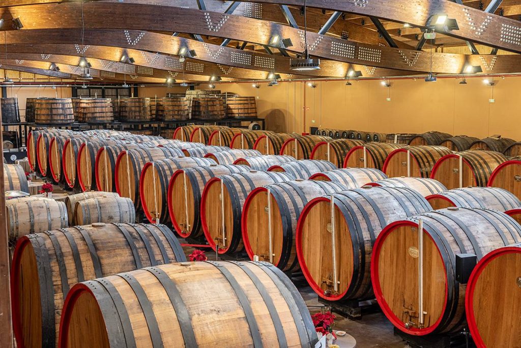 Yzaguirre Experience