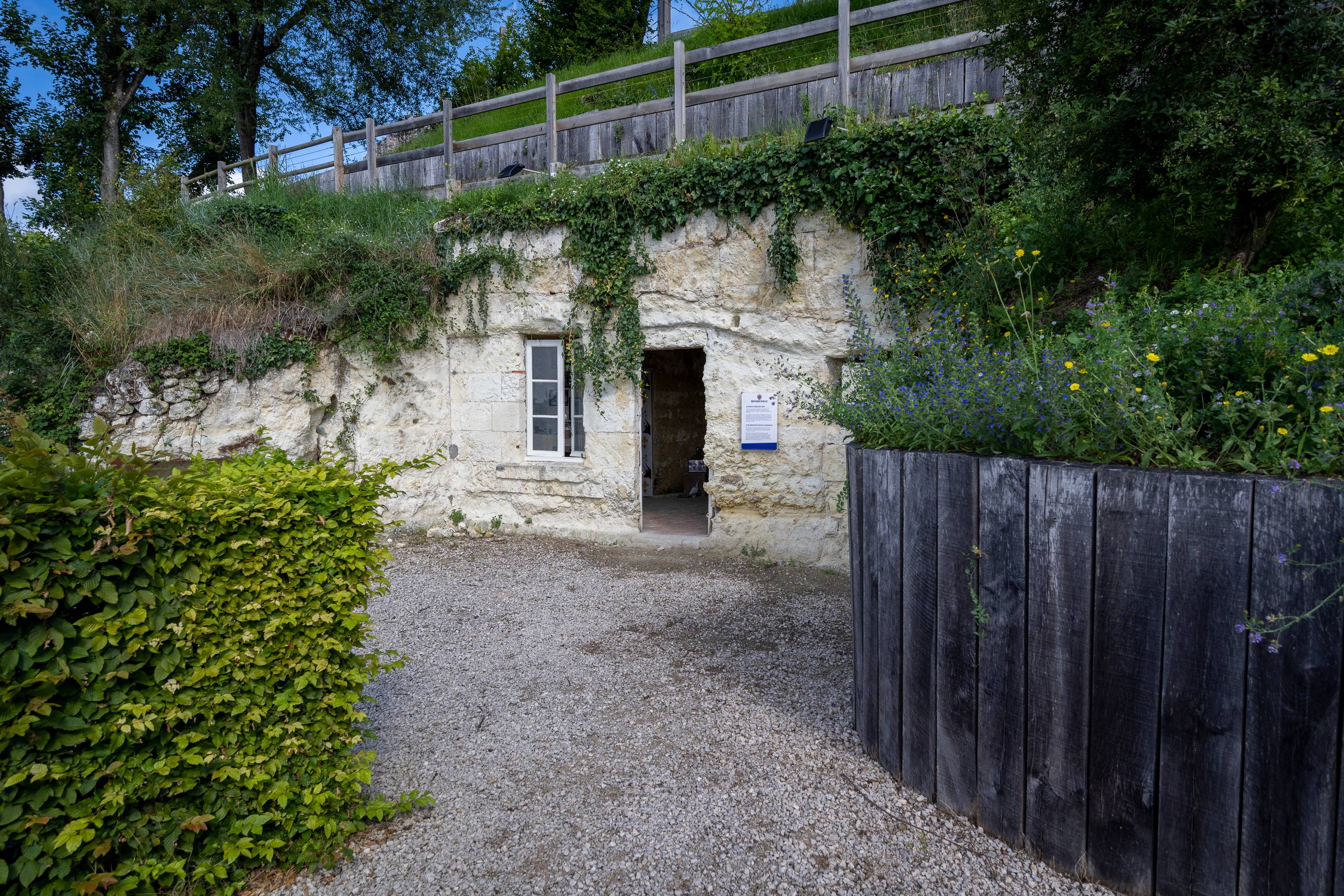 Guided tour and tasting