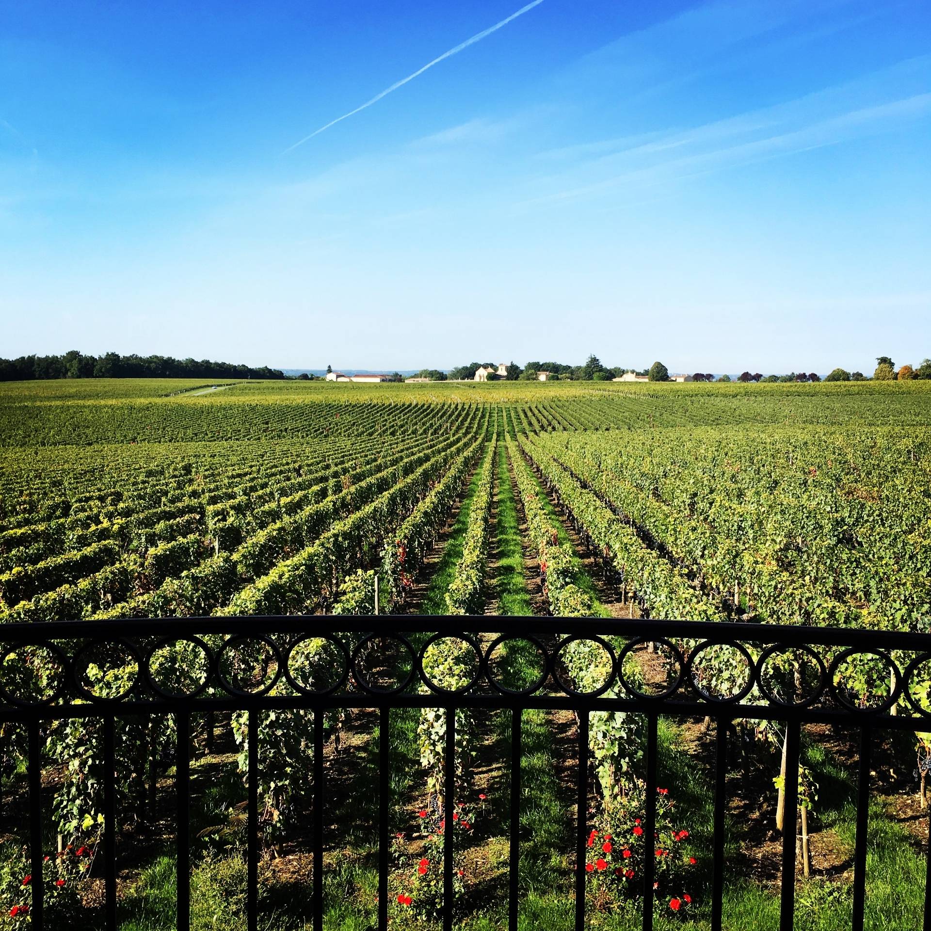 Visit to Château Destieux and Prestige tasting