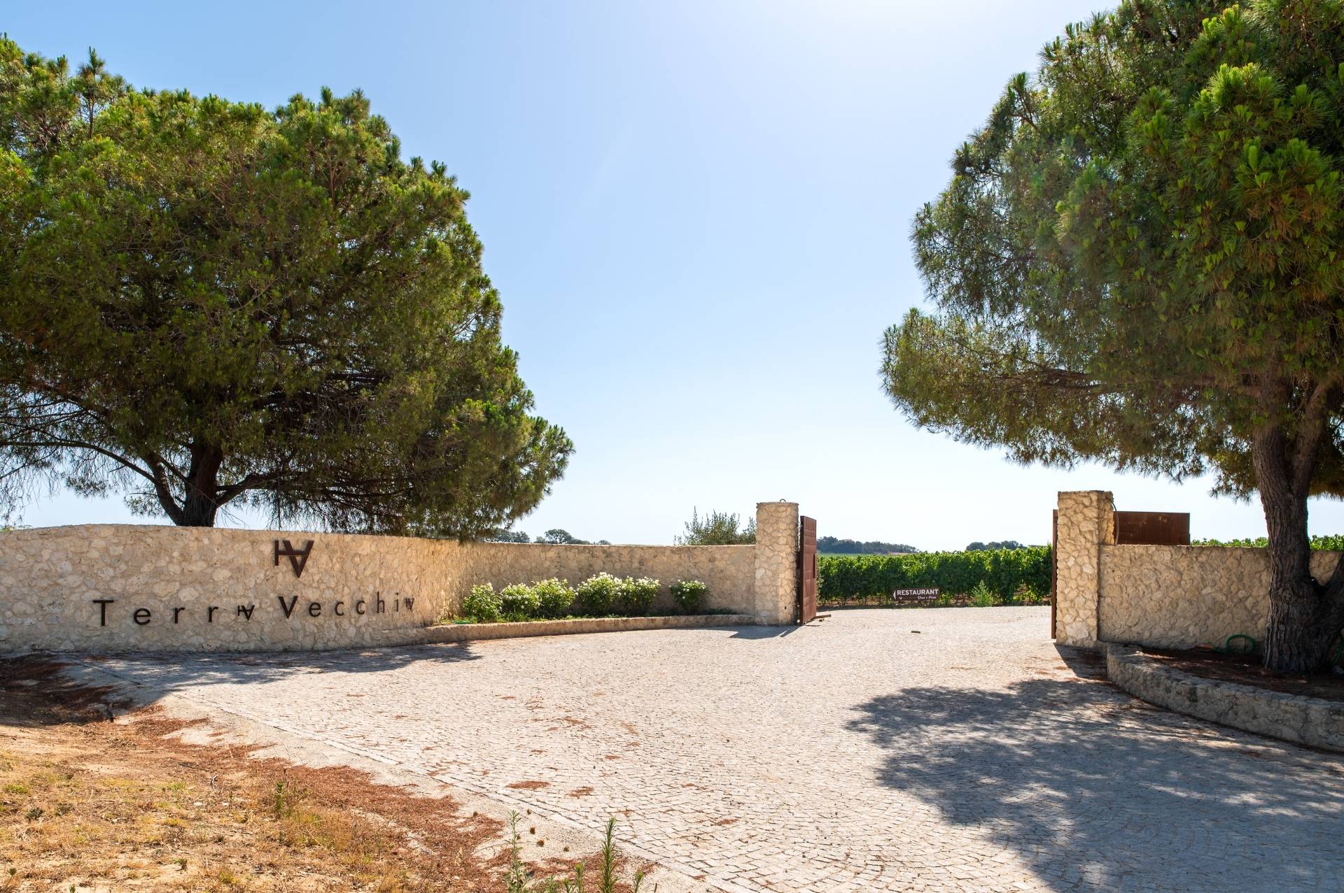 DOMAINE TERRA VECCHIA