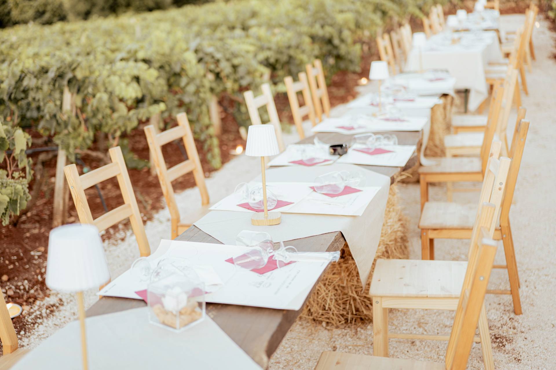 Sunset aperitivo in the vineyard
