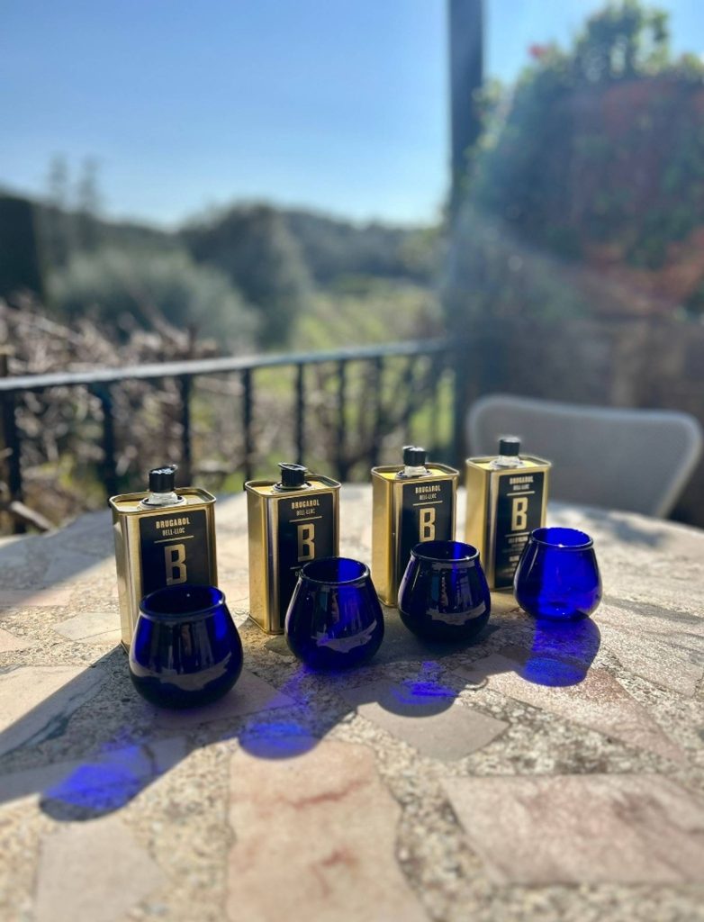 Brugarol Oil Tasting among the olive trees
