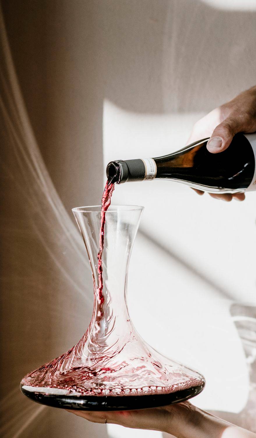 Cellar visit with basic tasting