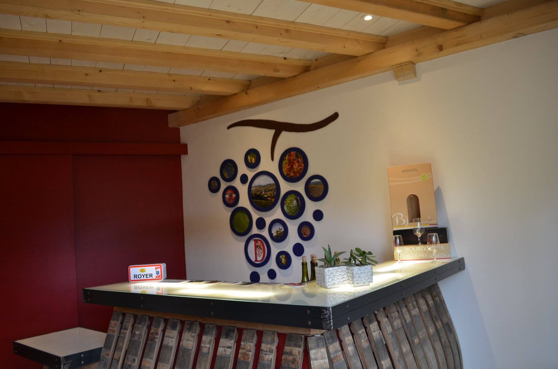 Tasting and visit of the winery