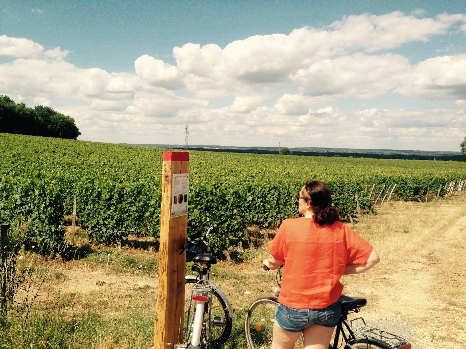 Electric ride in the vineyards