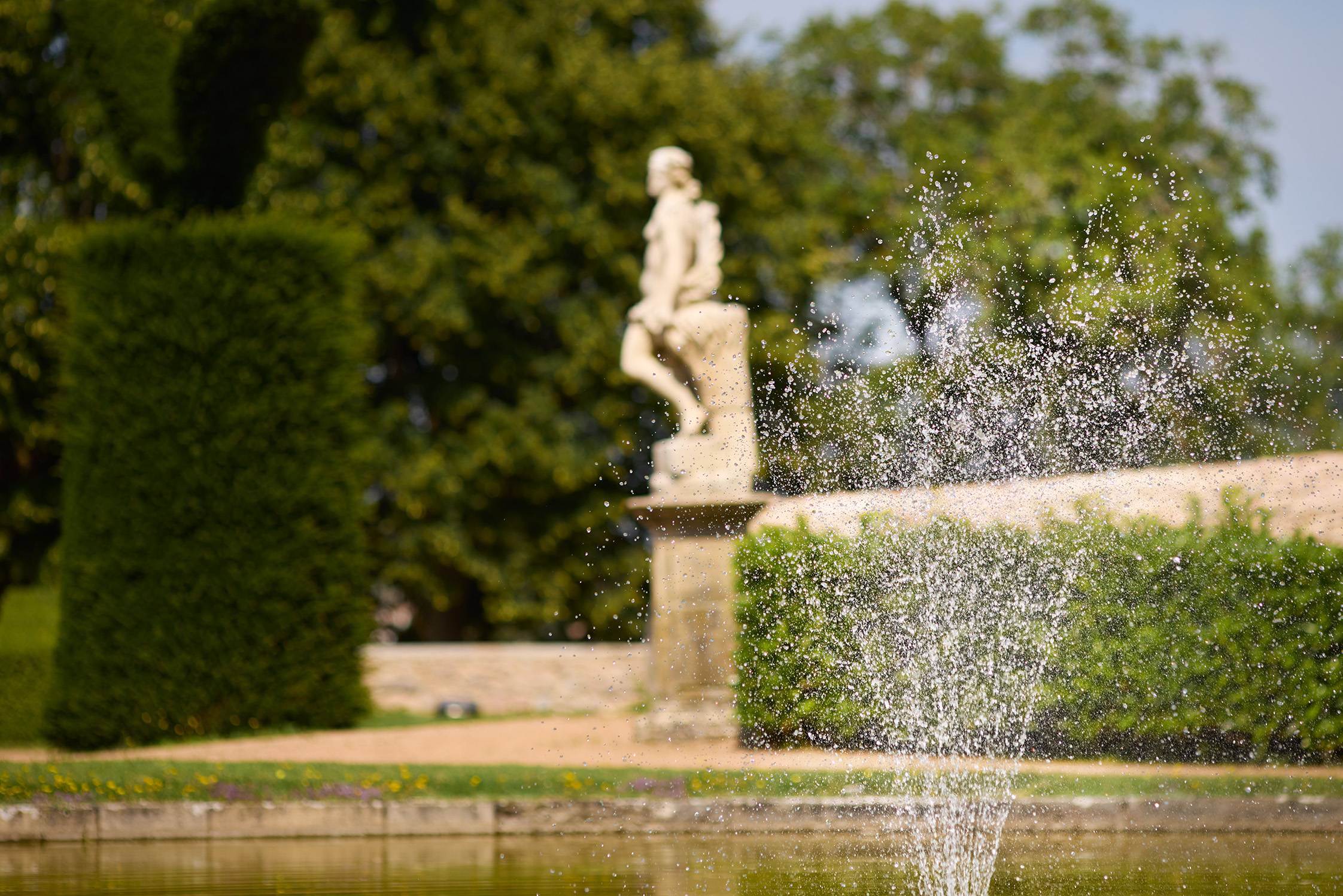 Visit of the estate and tasting of 3 wines