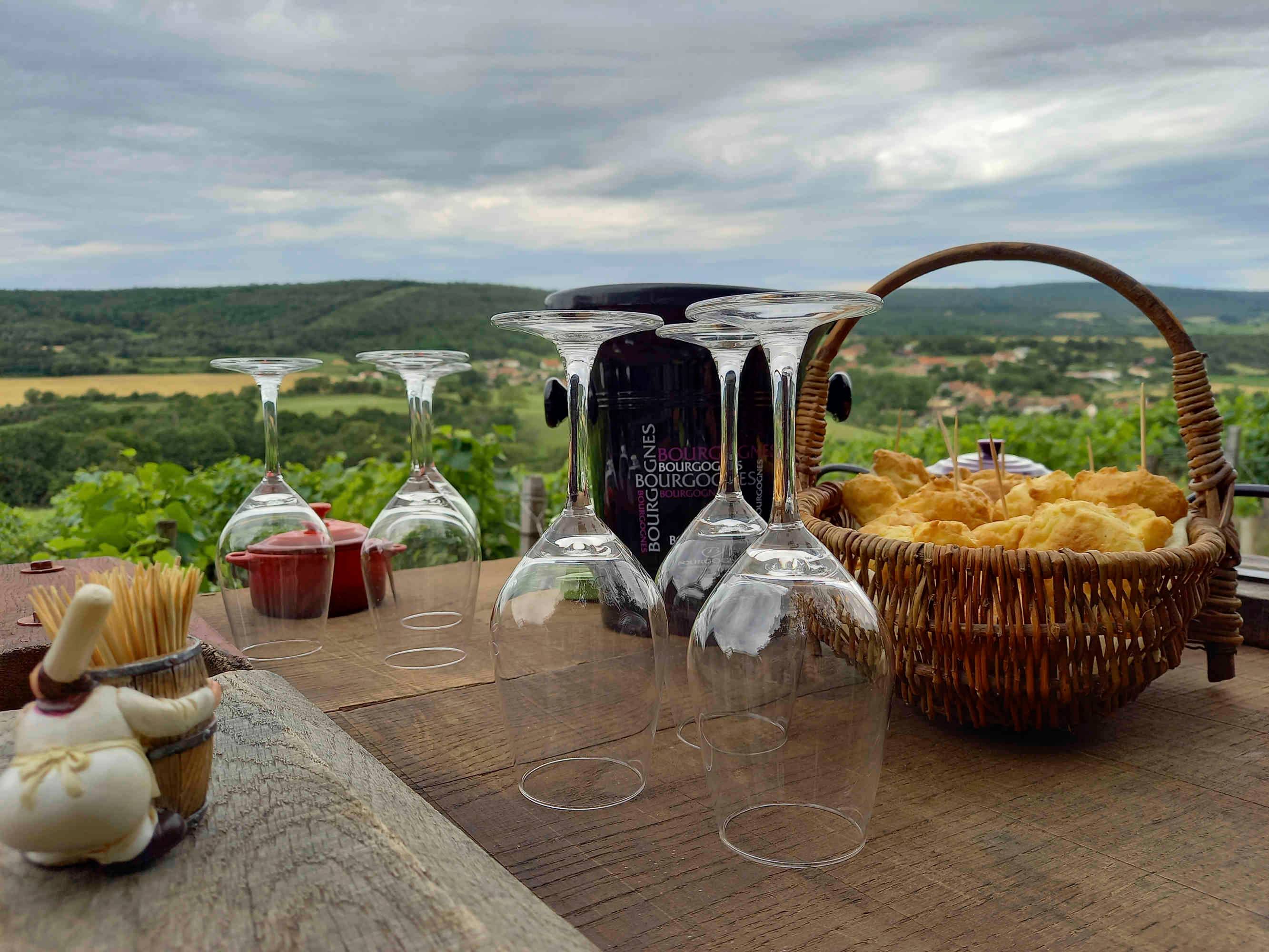 Tasting in the vineyards and guided tour
