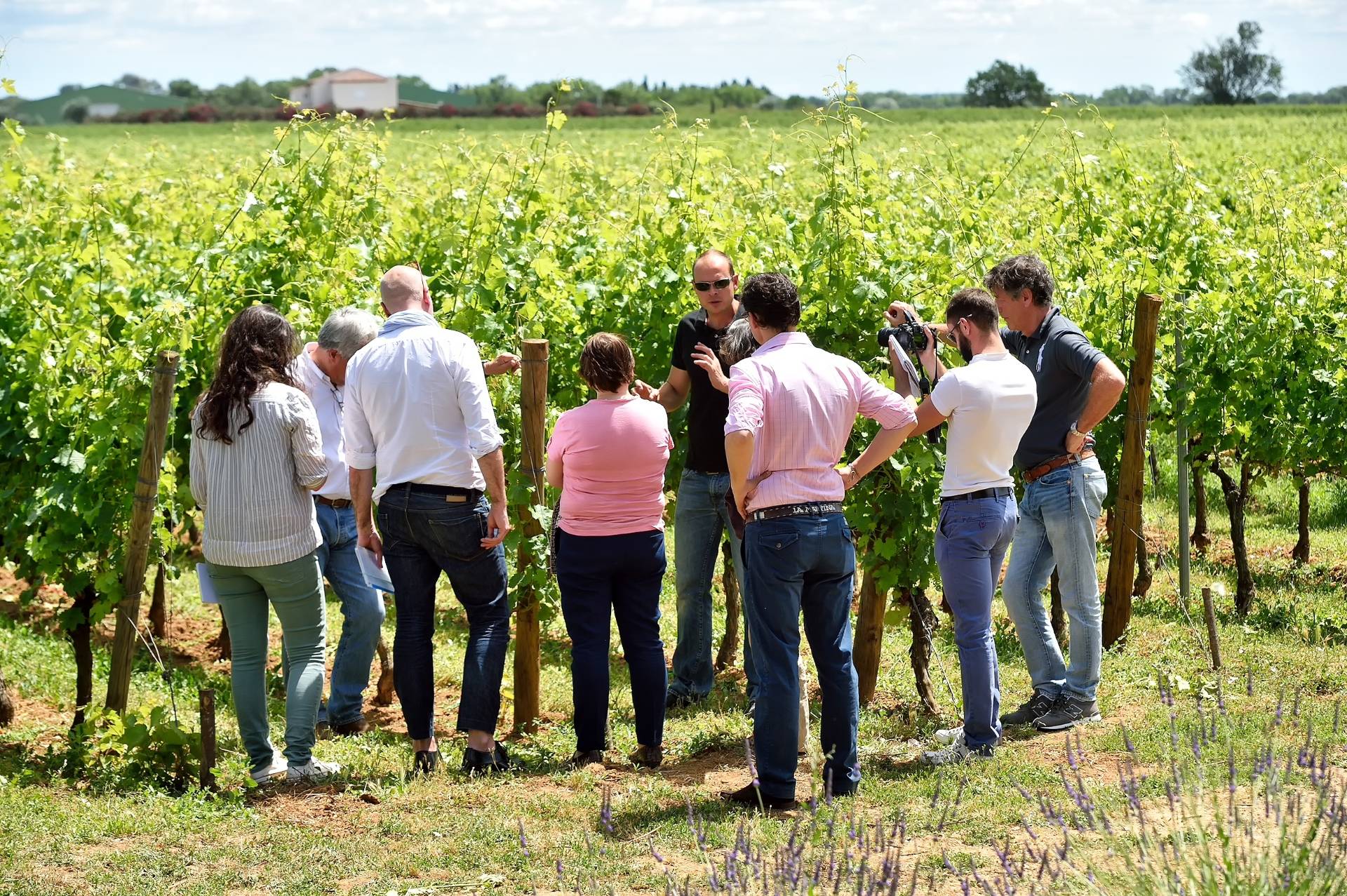 Visit to the estate & wine tasting