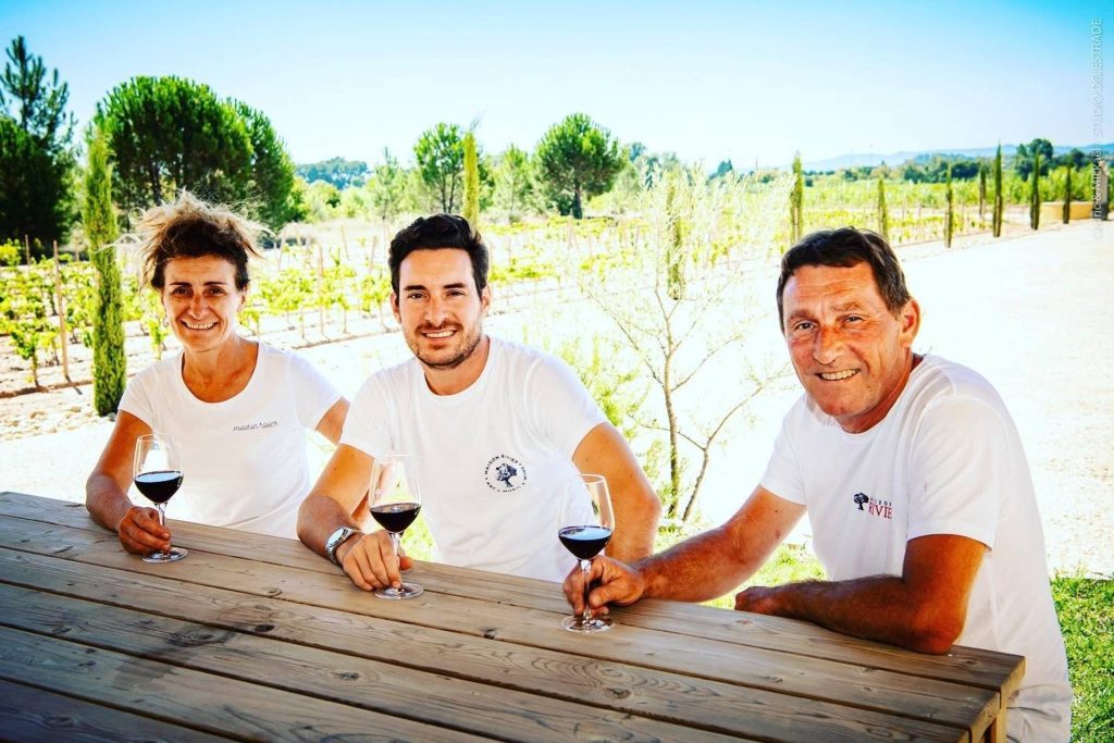 Introductory wine tasting workshop around the estate’s wines