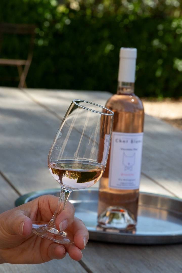 Vineyard visit and tasting of our organic wines