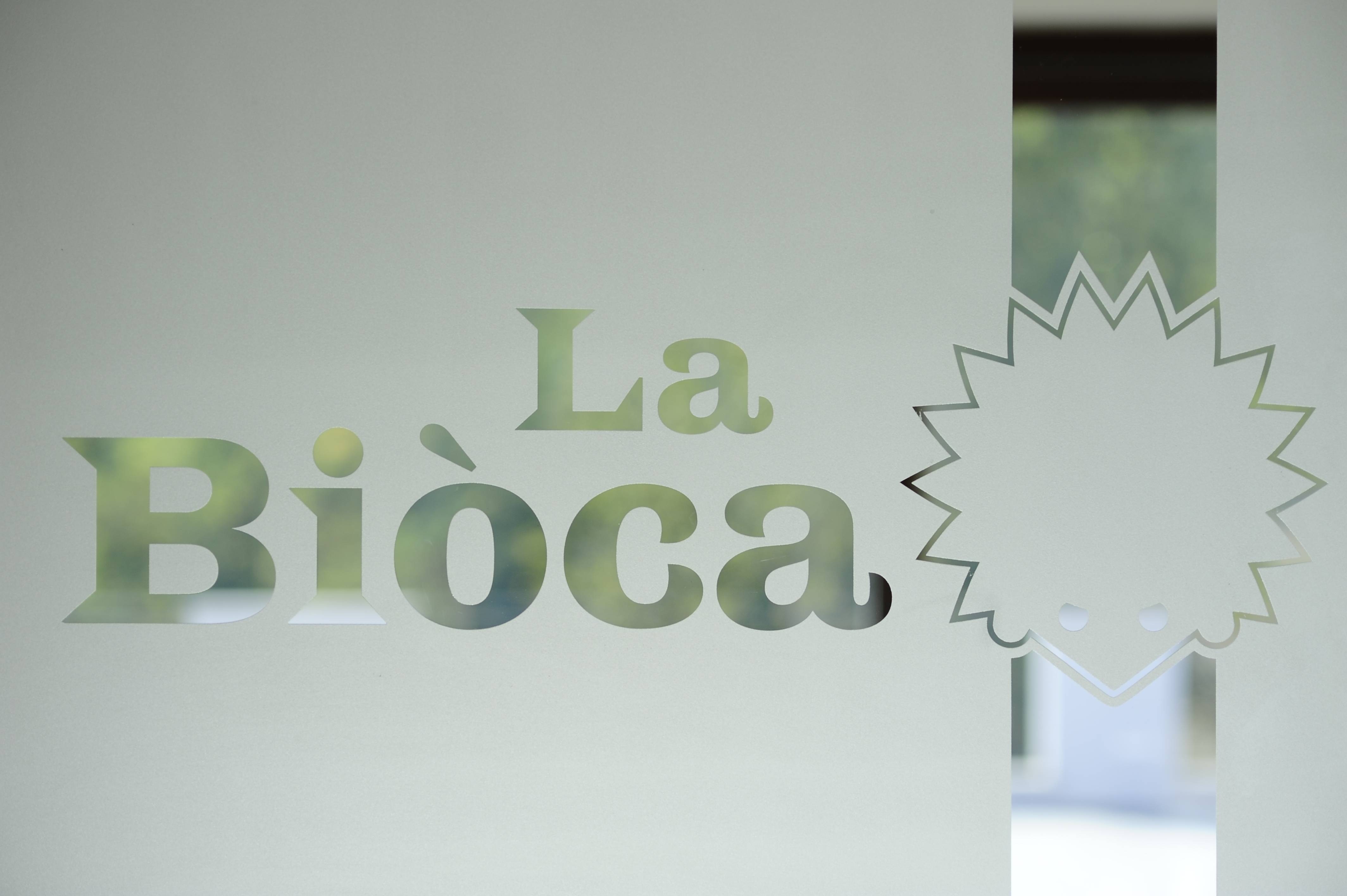 The visit and tasting of 6 wines