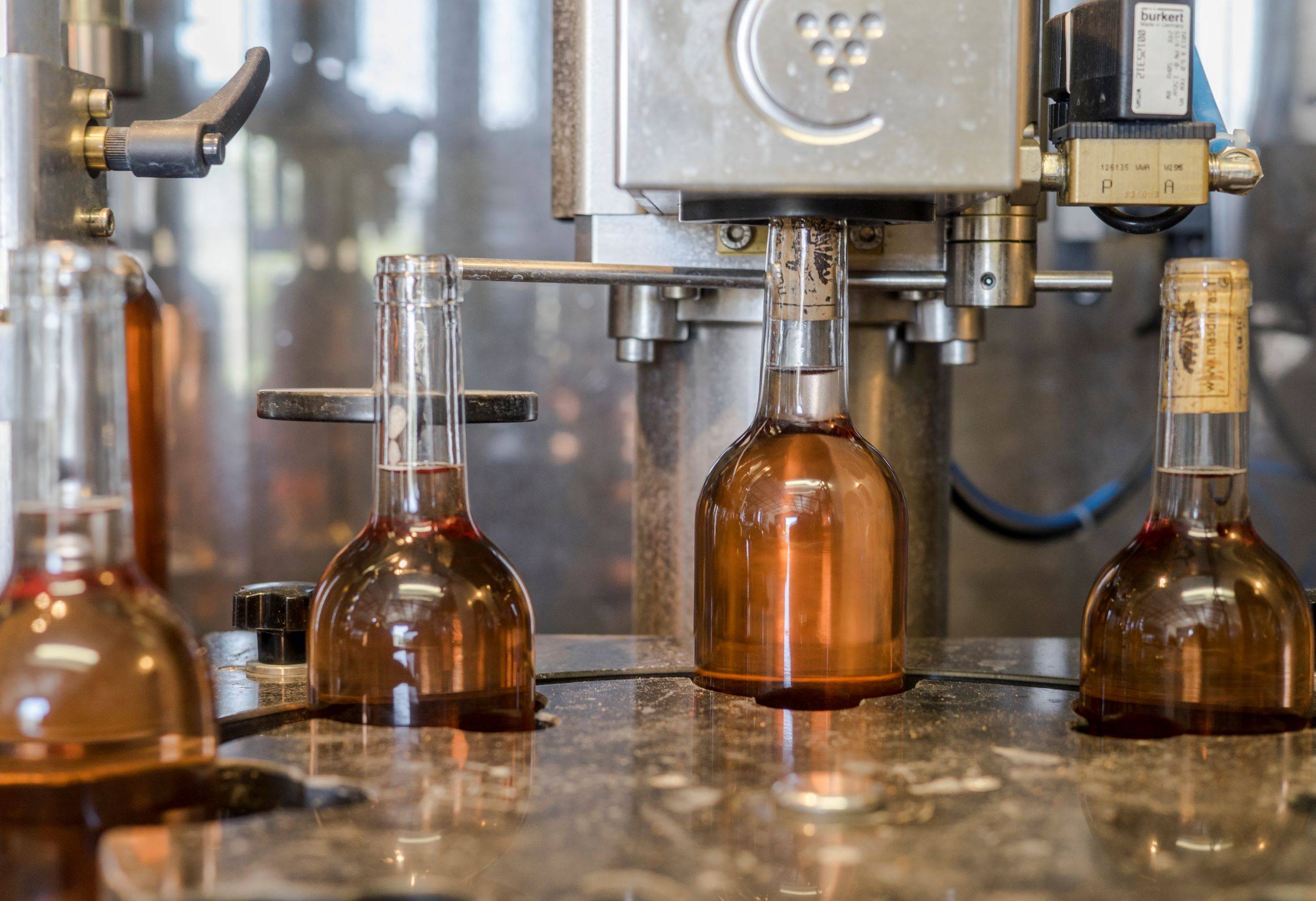 Guided tour and tasting of our organic wines