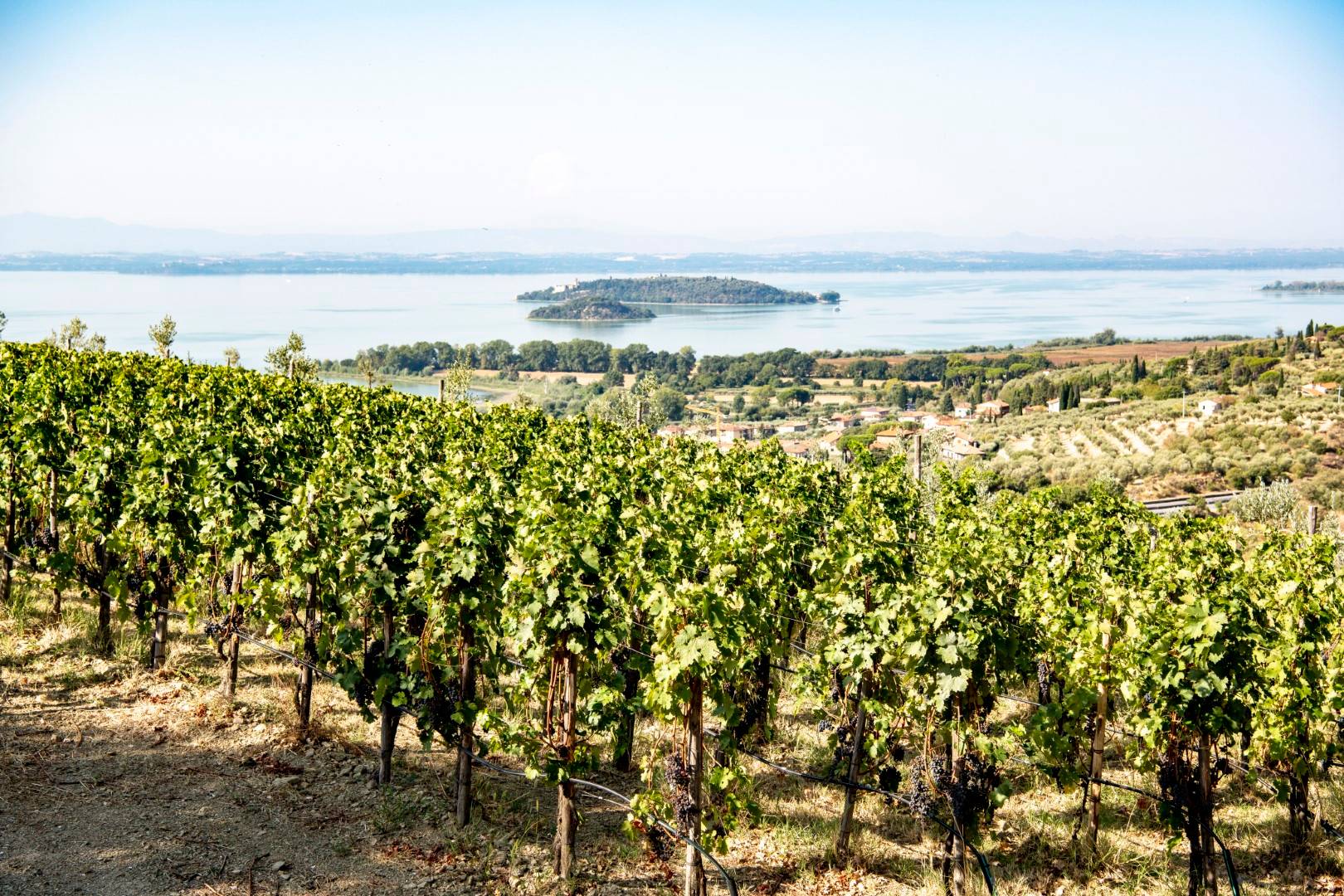 The Classic Experience