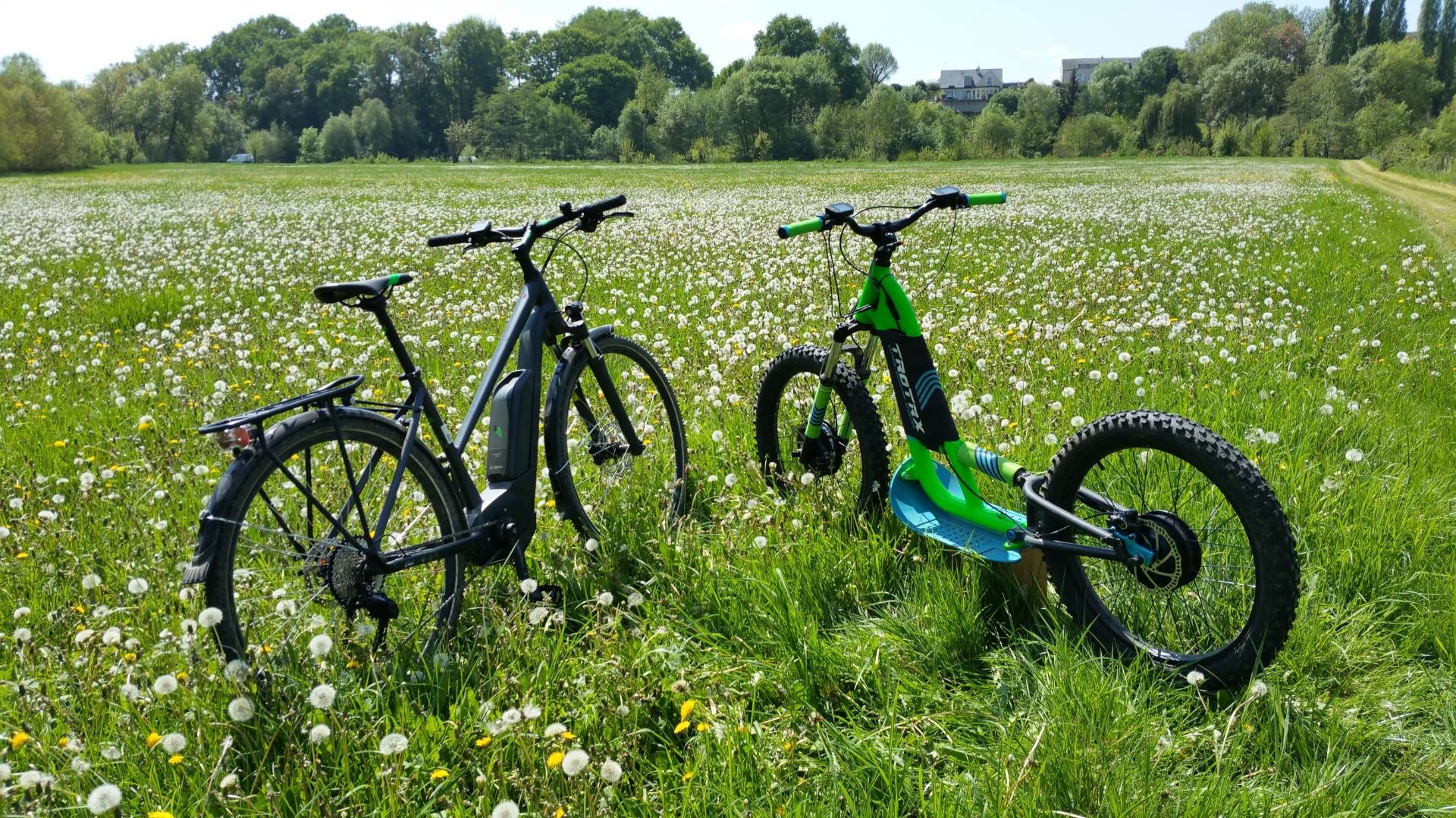 Electric ride in the vineyards